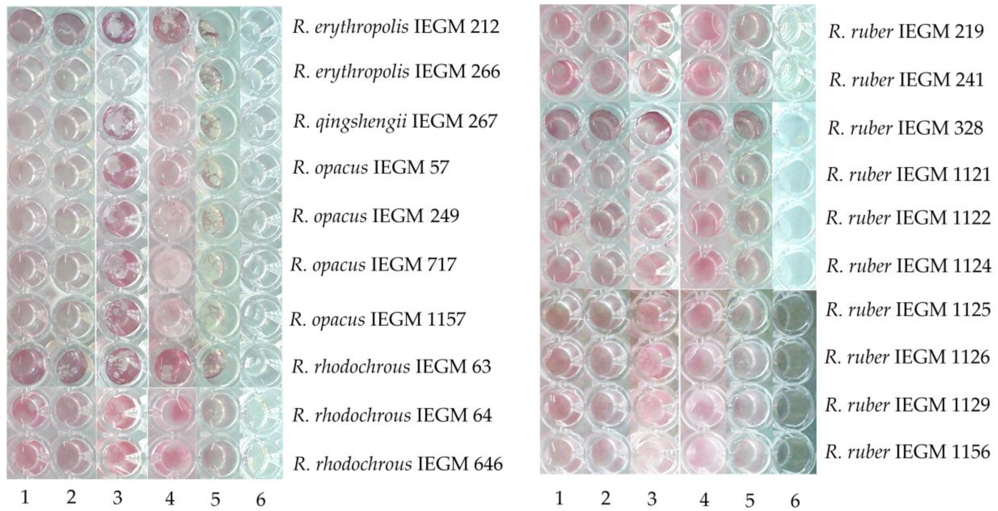 Molecules 28 02393 g004