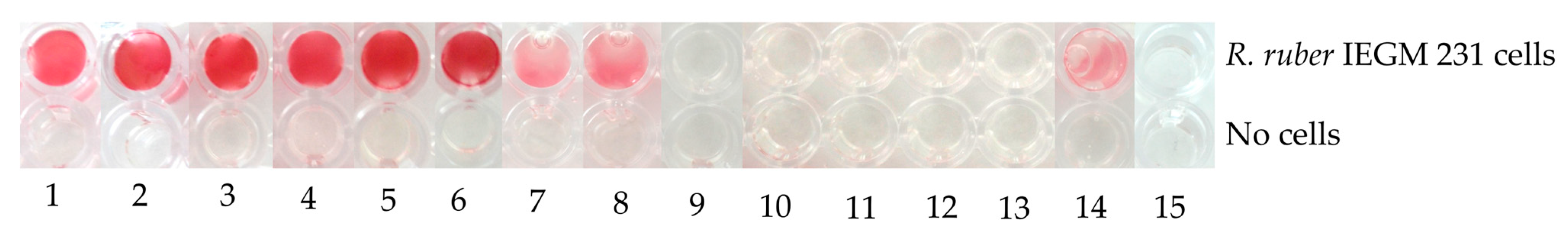 Molecules 28 02393 g005
