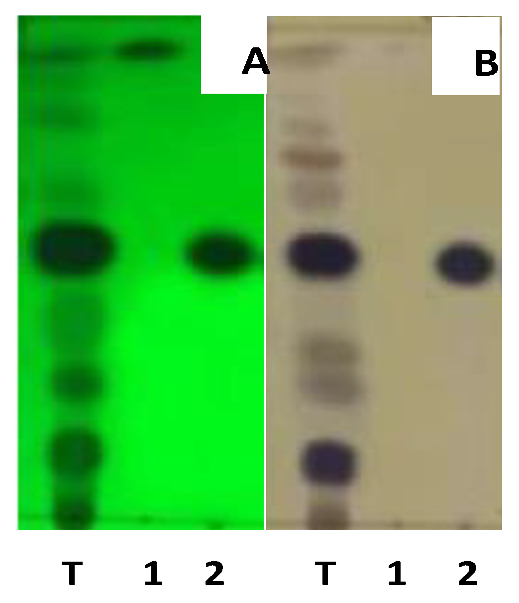 Molecules 28 02401 g001 Molecules 28 02401 g001