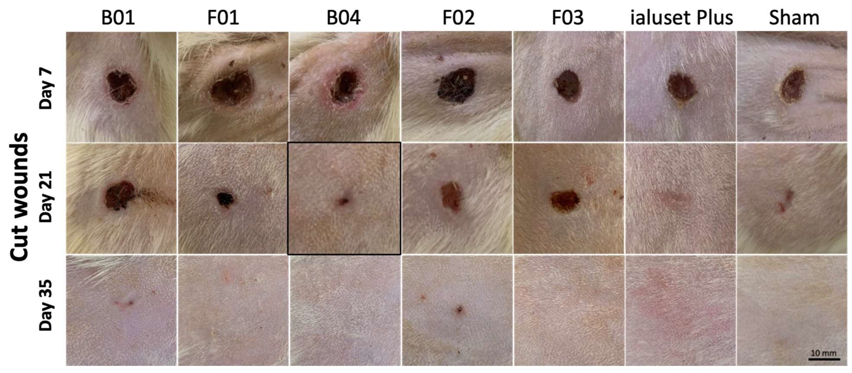 Molecules 28 02402 g006