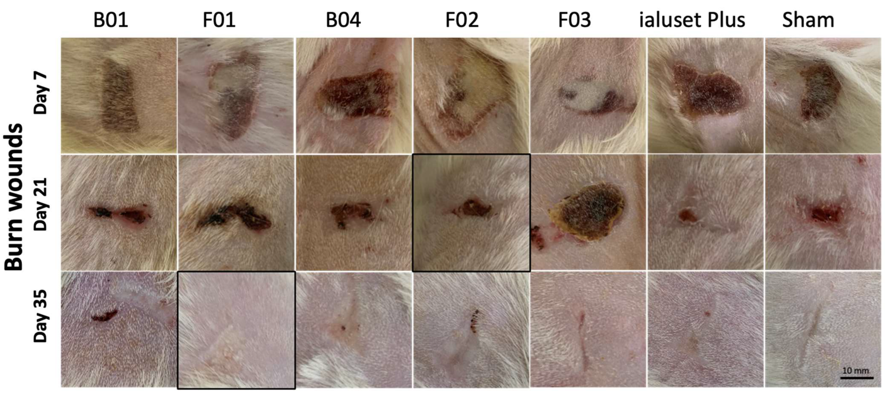Molecules 28 02402 g008