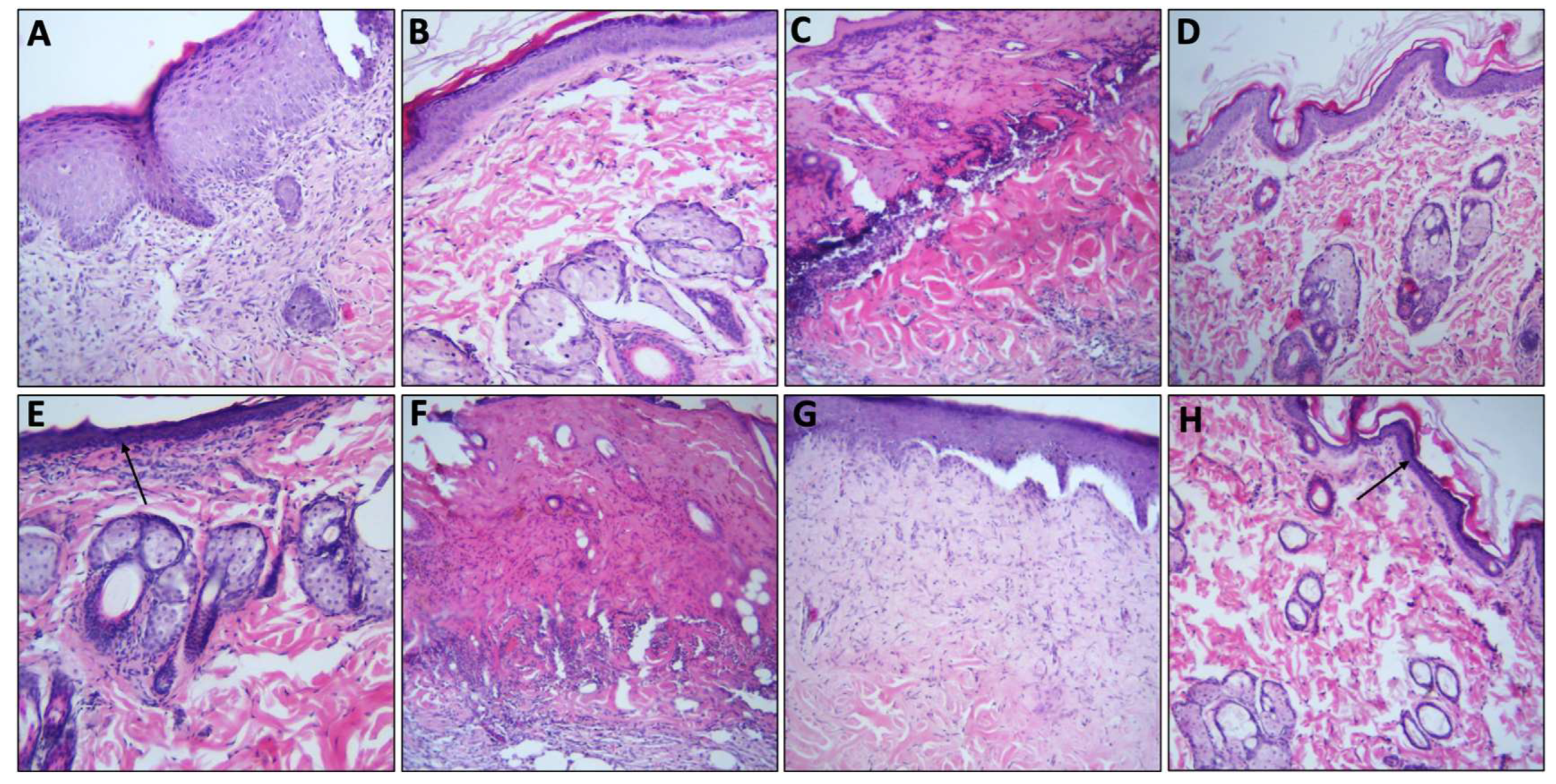 Molecules 28 02402 g009