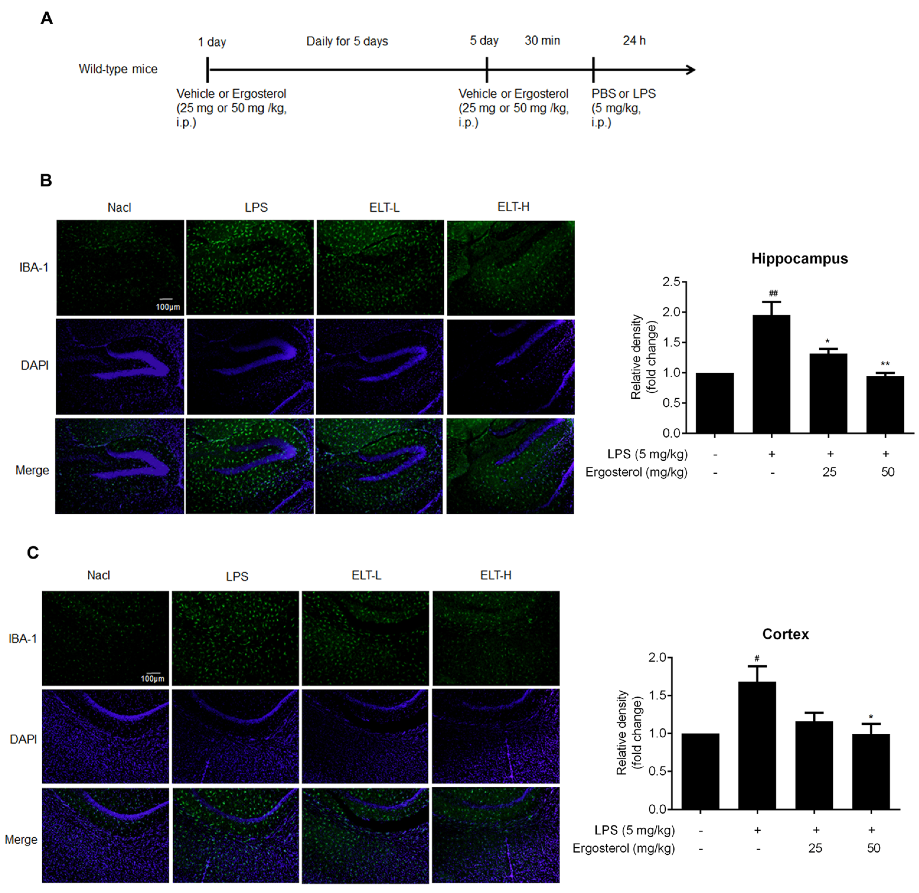Molecules 28 02406 g004a