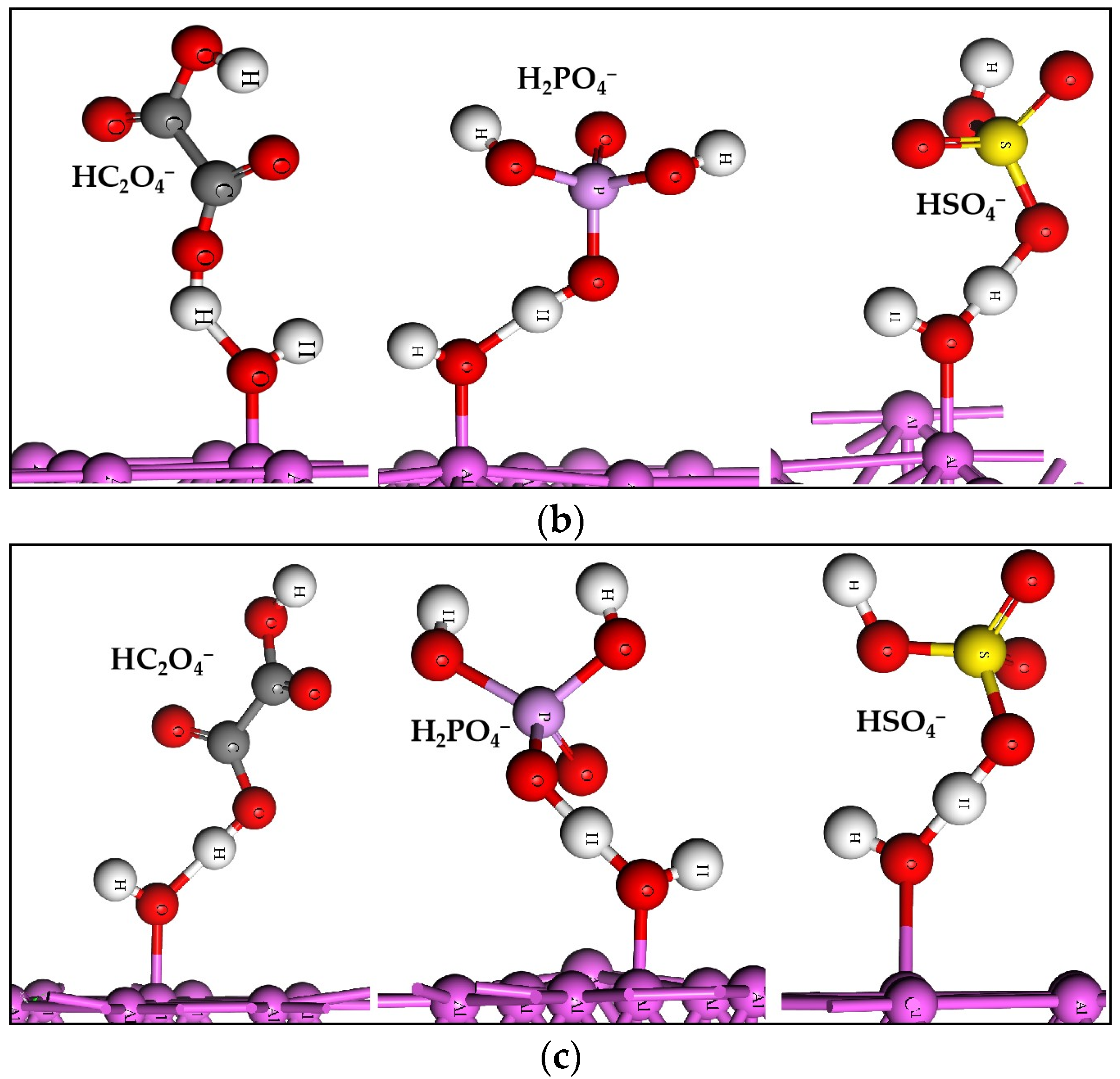 Molecules 28 02427 g001b Molecules 28 02427 g001b