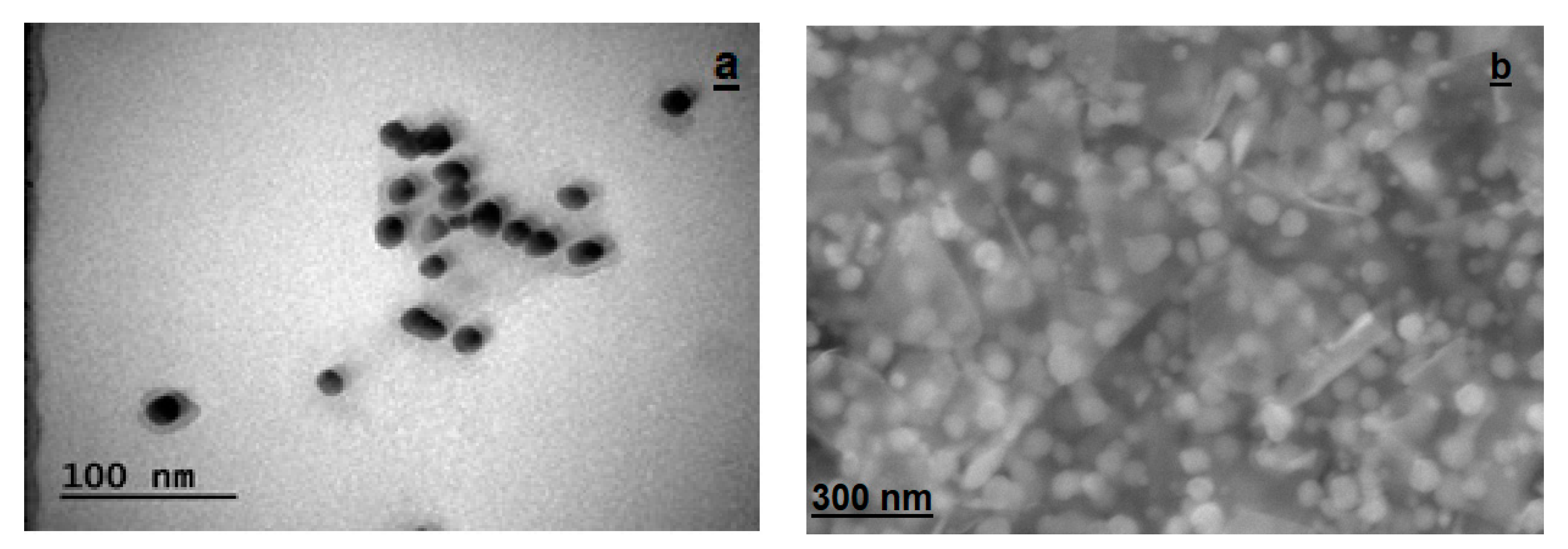 Molecules 28 02428 g006 Molecules 28 02428 g006