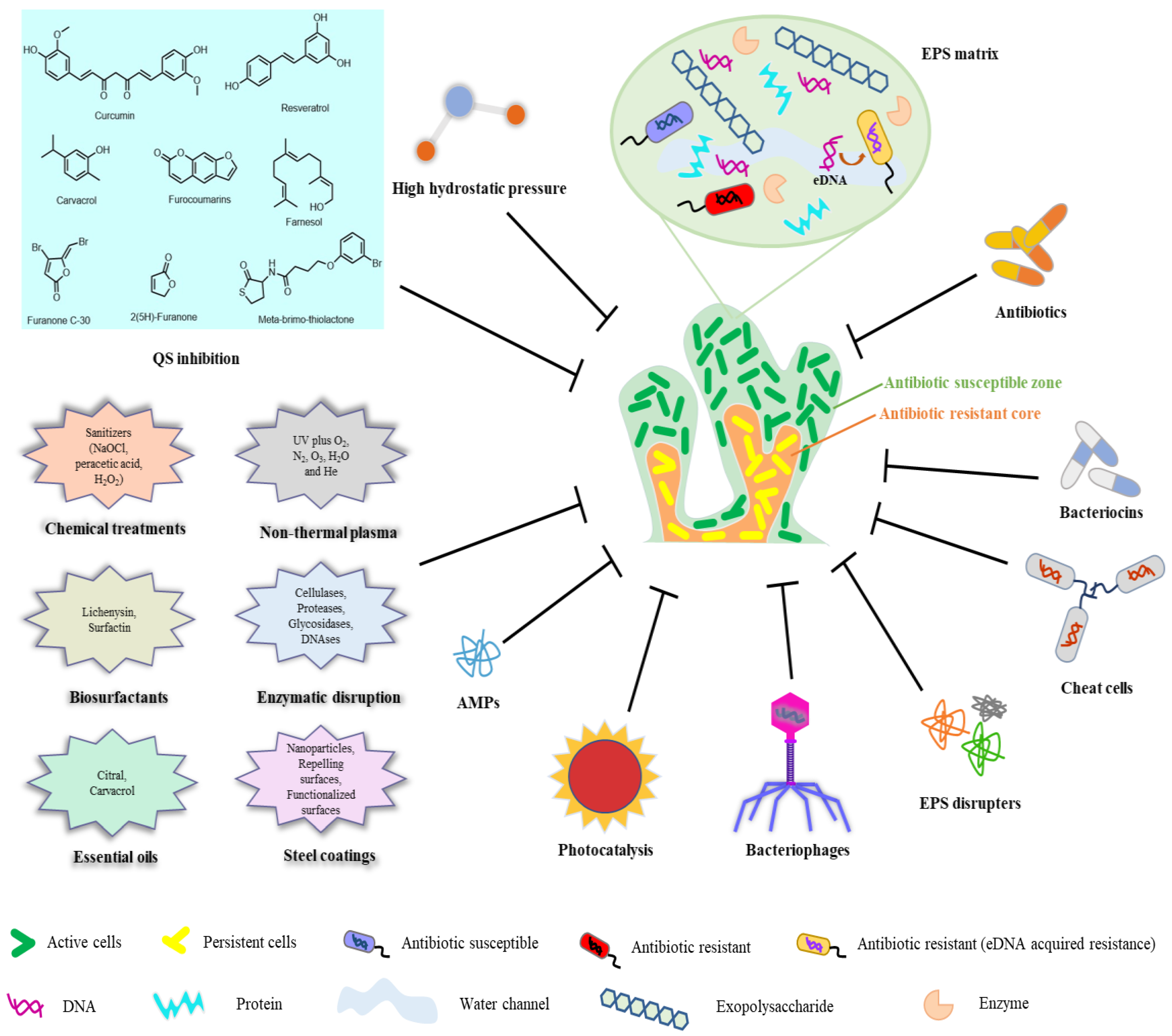 Molecules 28 02432 g003 Molecules 28 02432 g003