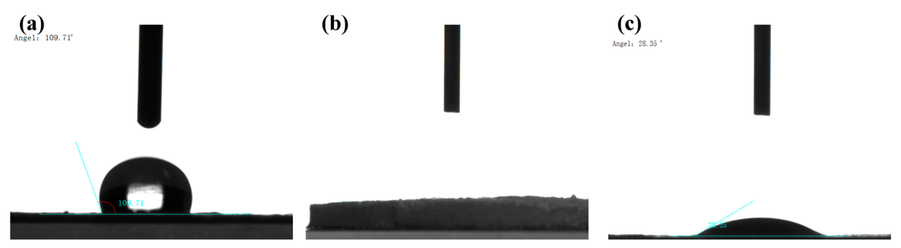 Molecules 28 02440 g003