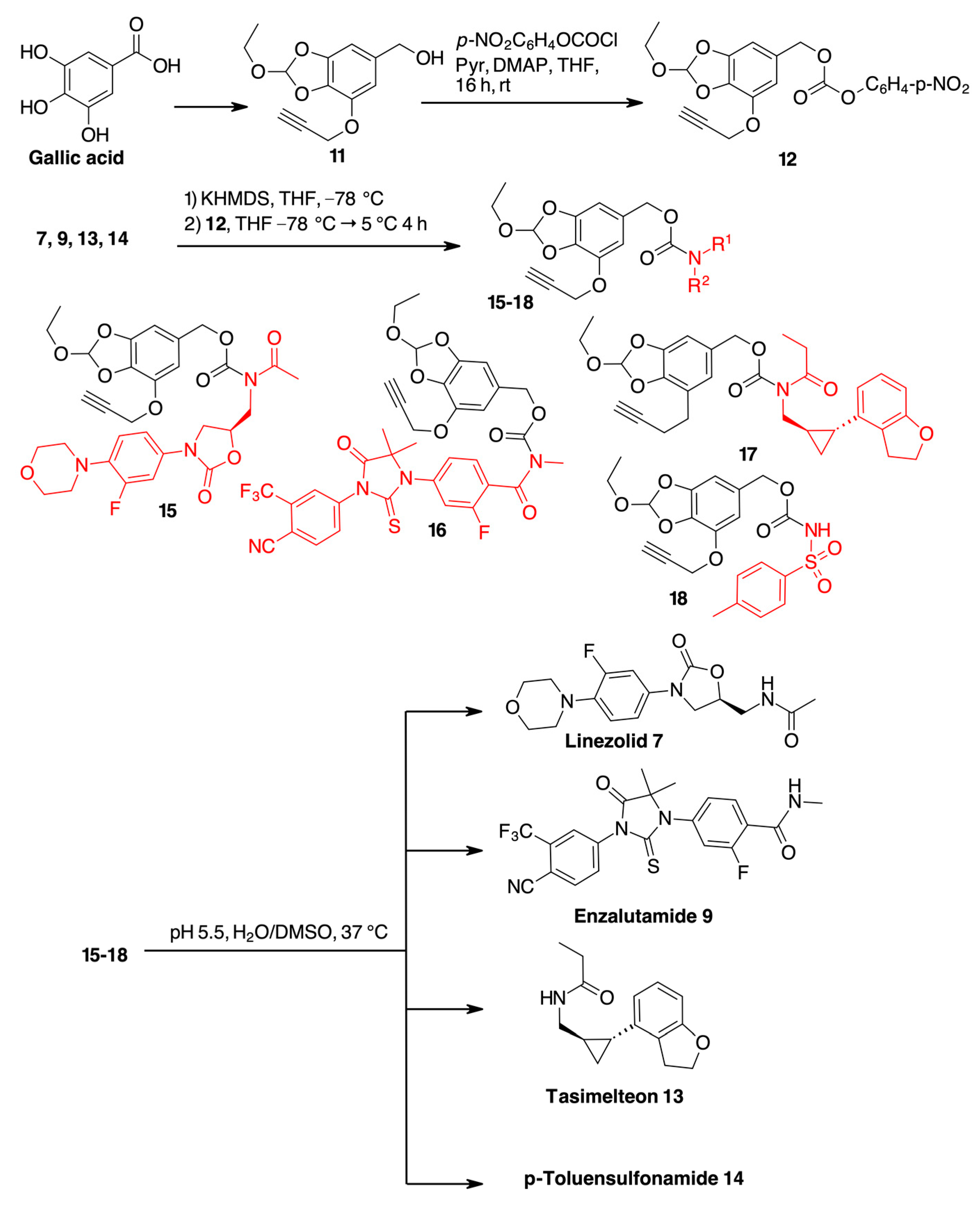 Molecules 28 02445 sch003