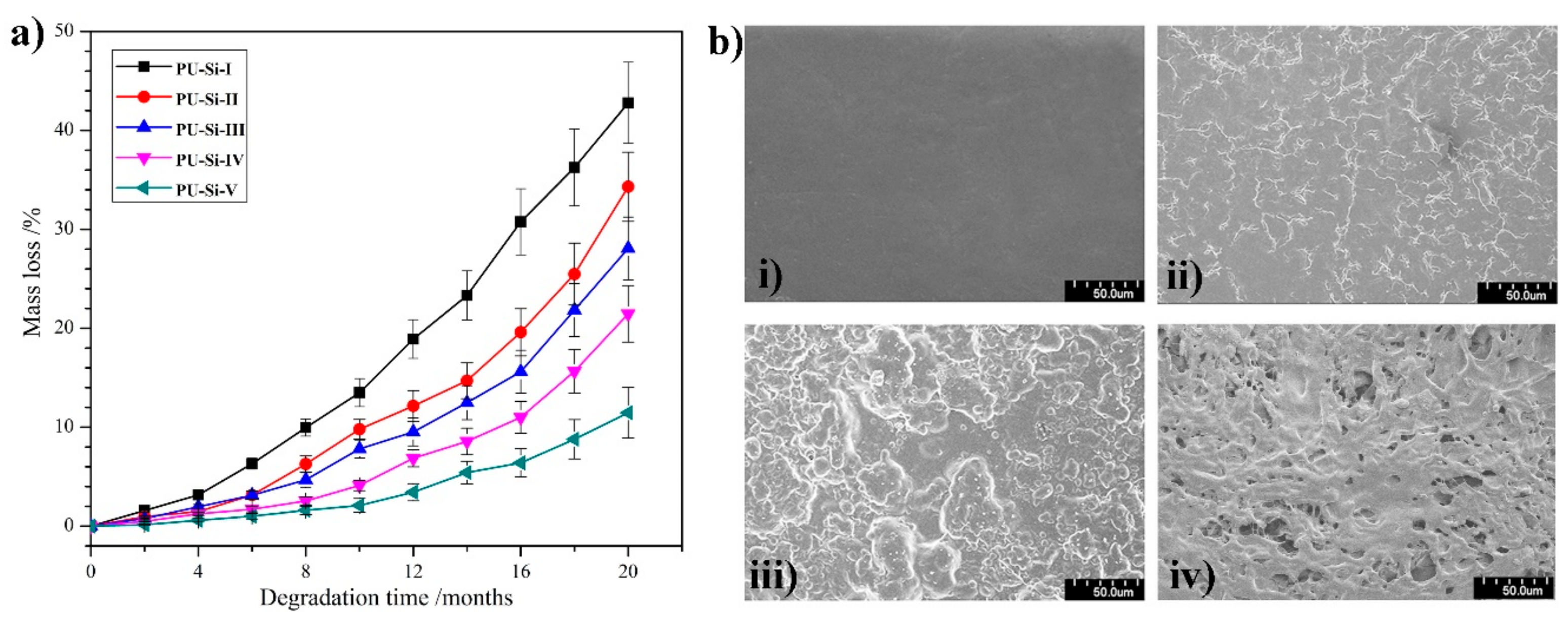 Molecules 28 02464 g008 Molecules 28 02464 g008
