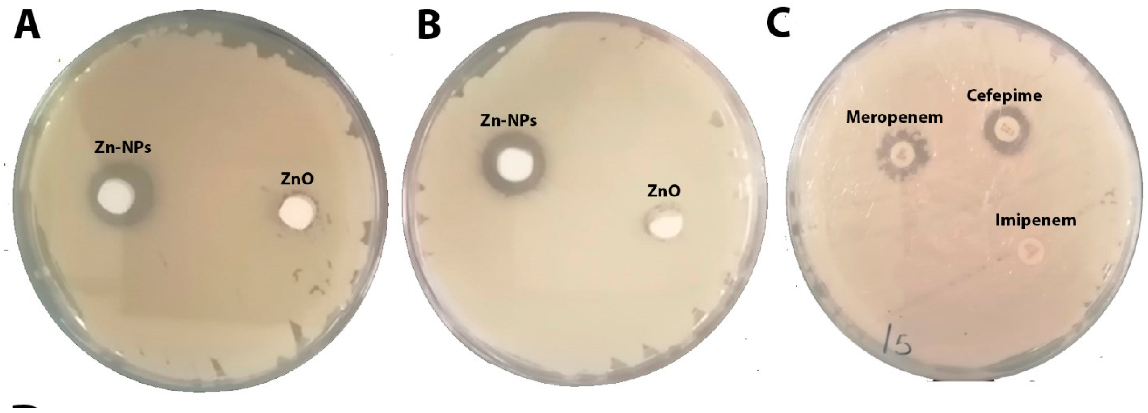 Molecules 28 02510 g009 Molecules 28 02510 g009