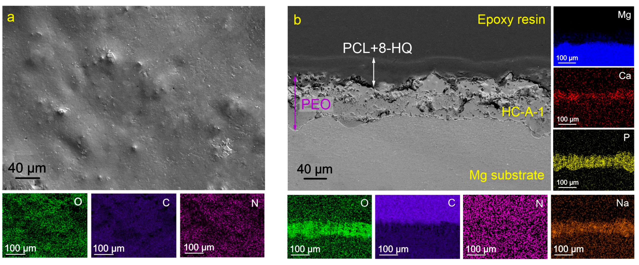 Molecules 28 02538 g006