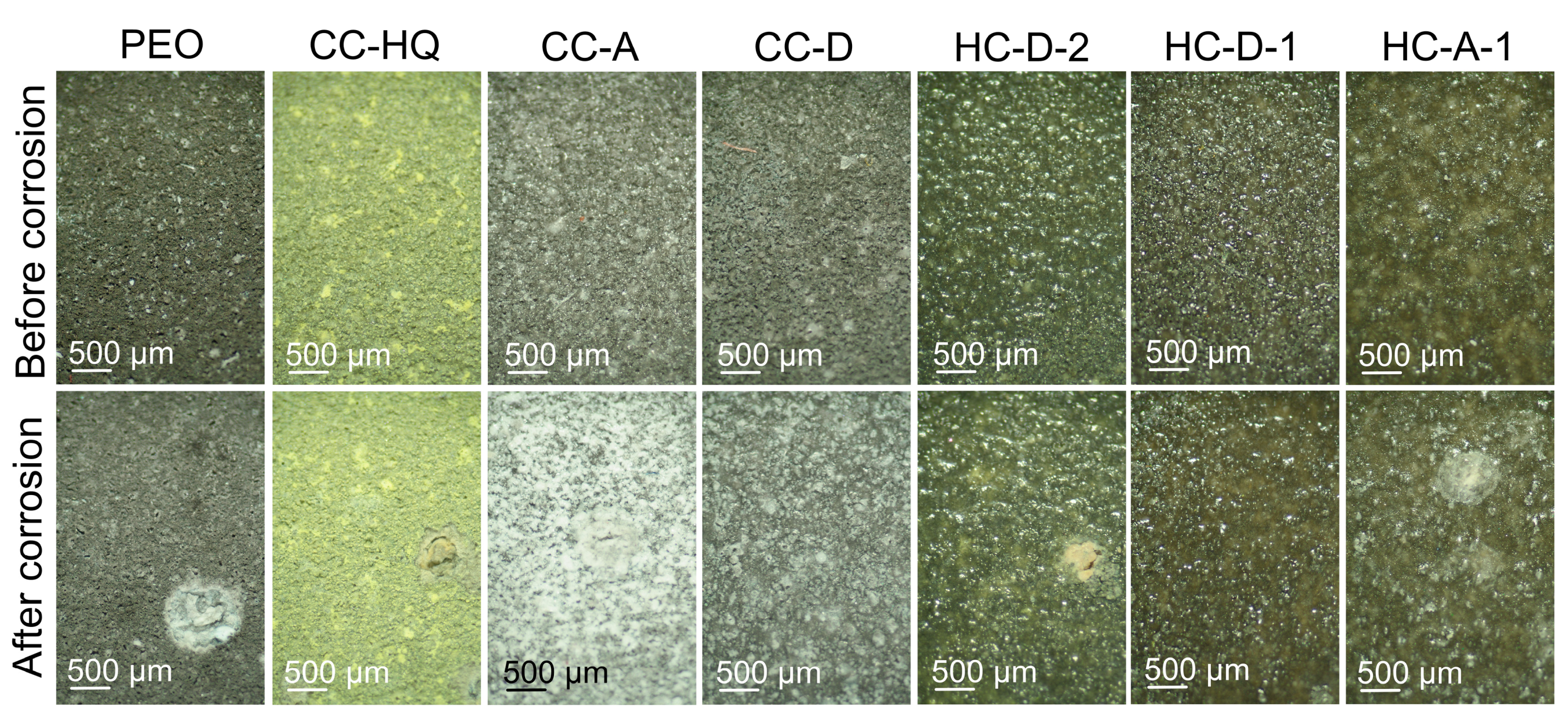 Molecules 28 02538 g012