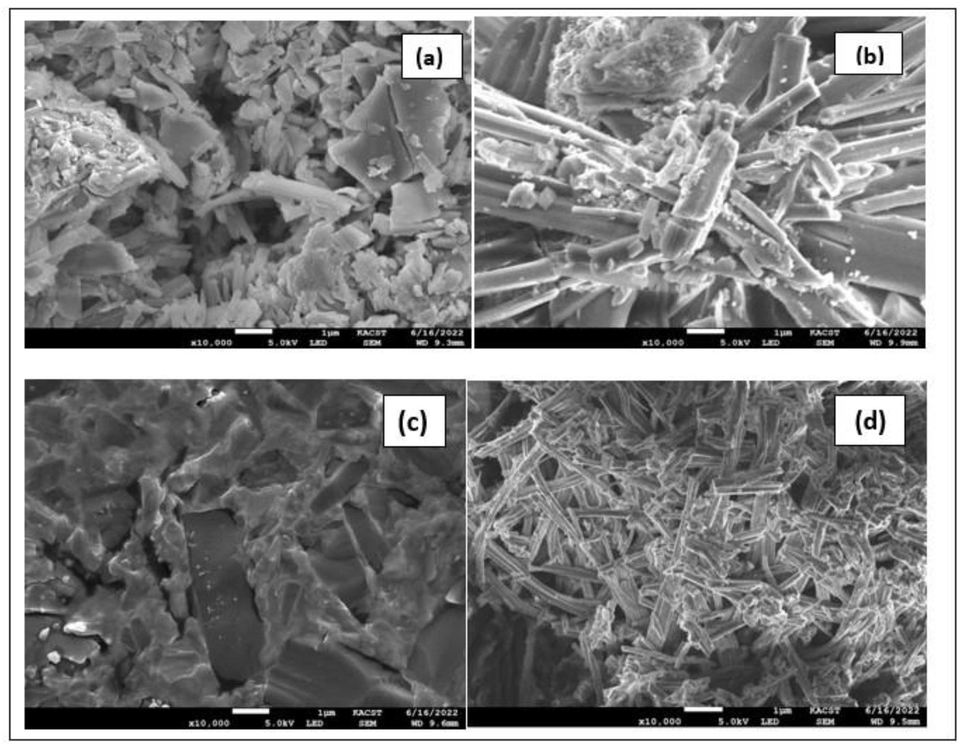Molecules 28 02555 g008 Molecules 28 02555 g008
