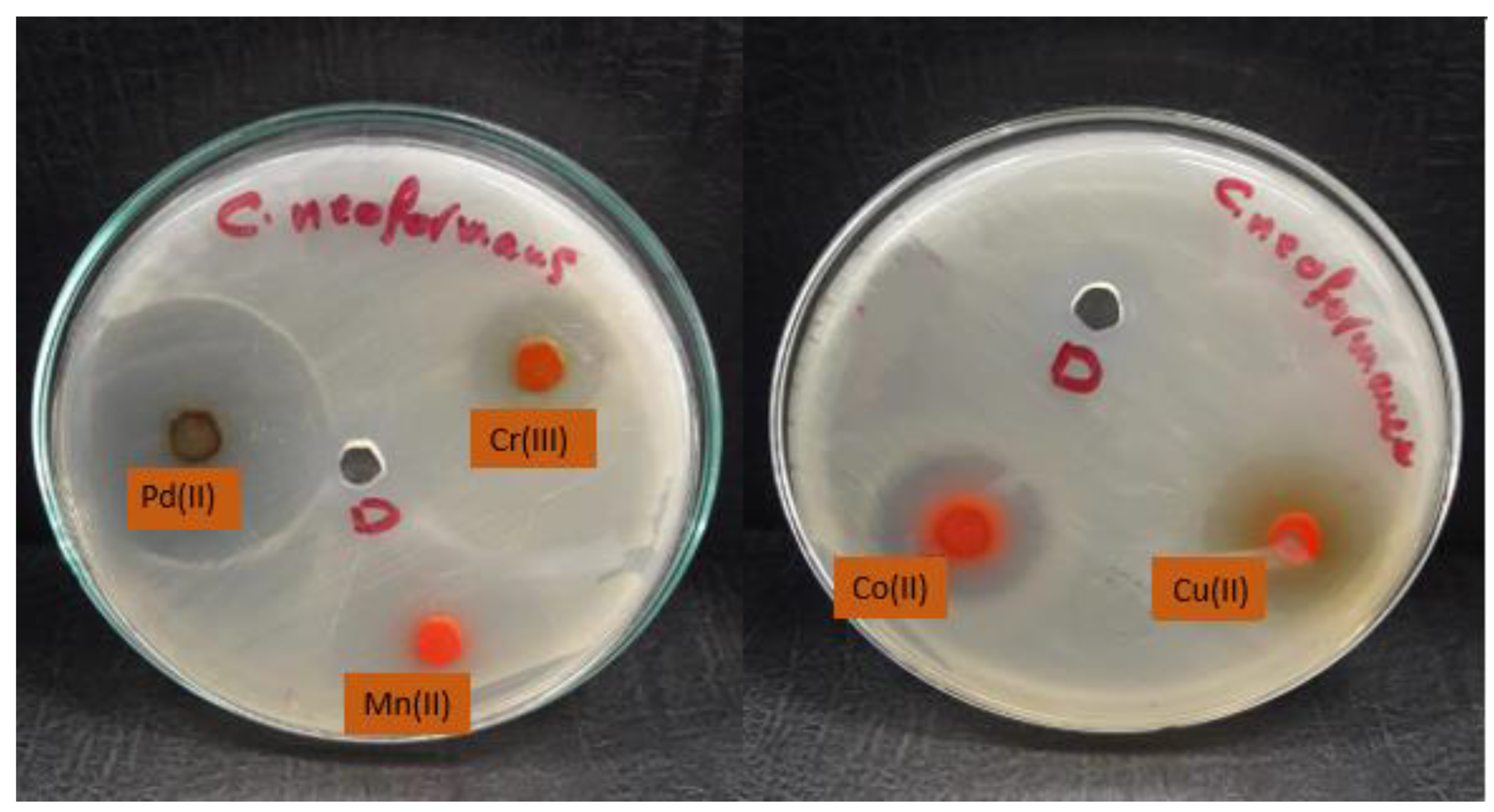 Molecules 28 02555 g012 Molecules 28 02555 g012