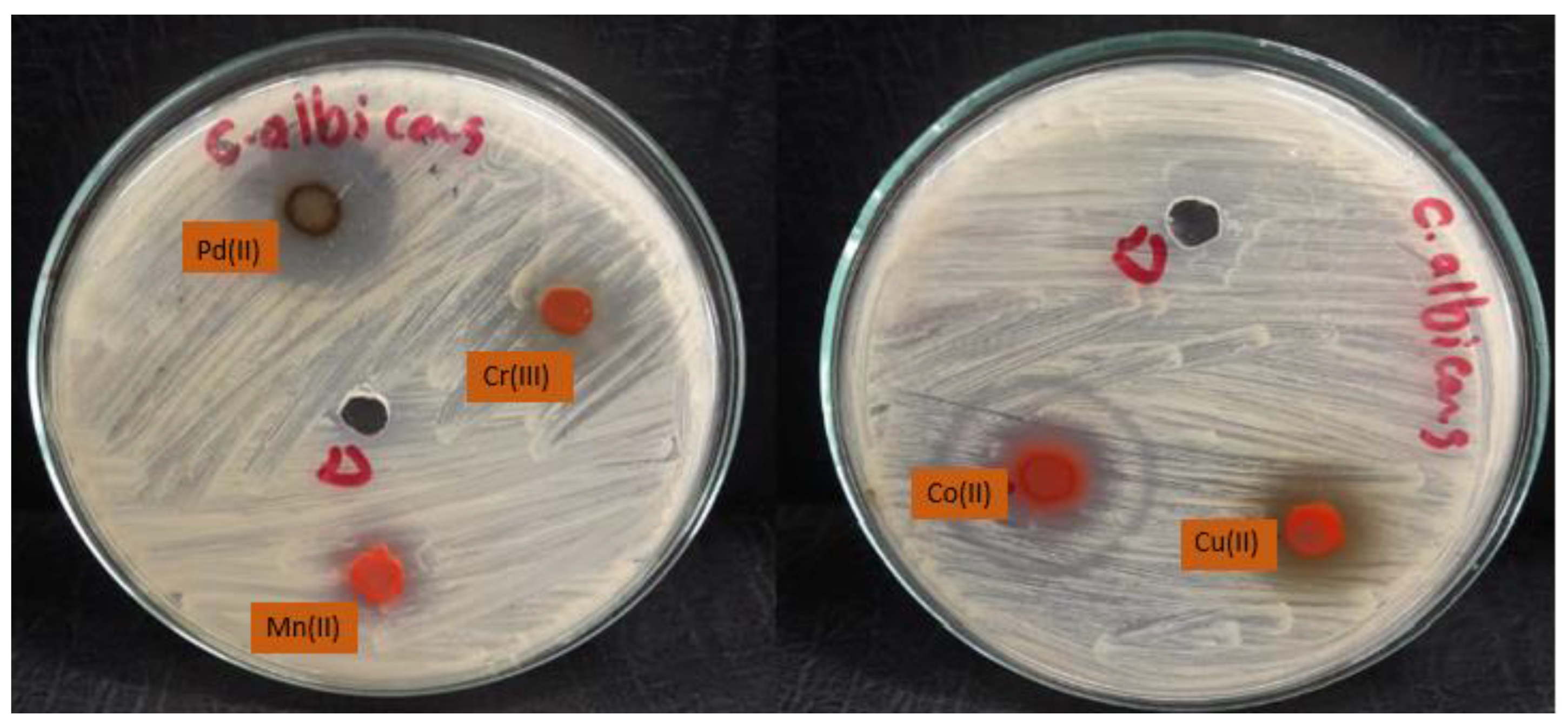 Molecules 28 02555 g013 Molecules 28 02555 g013