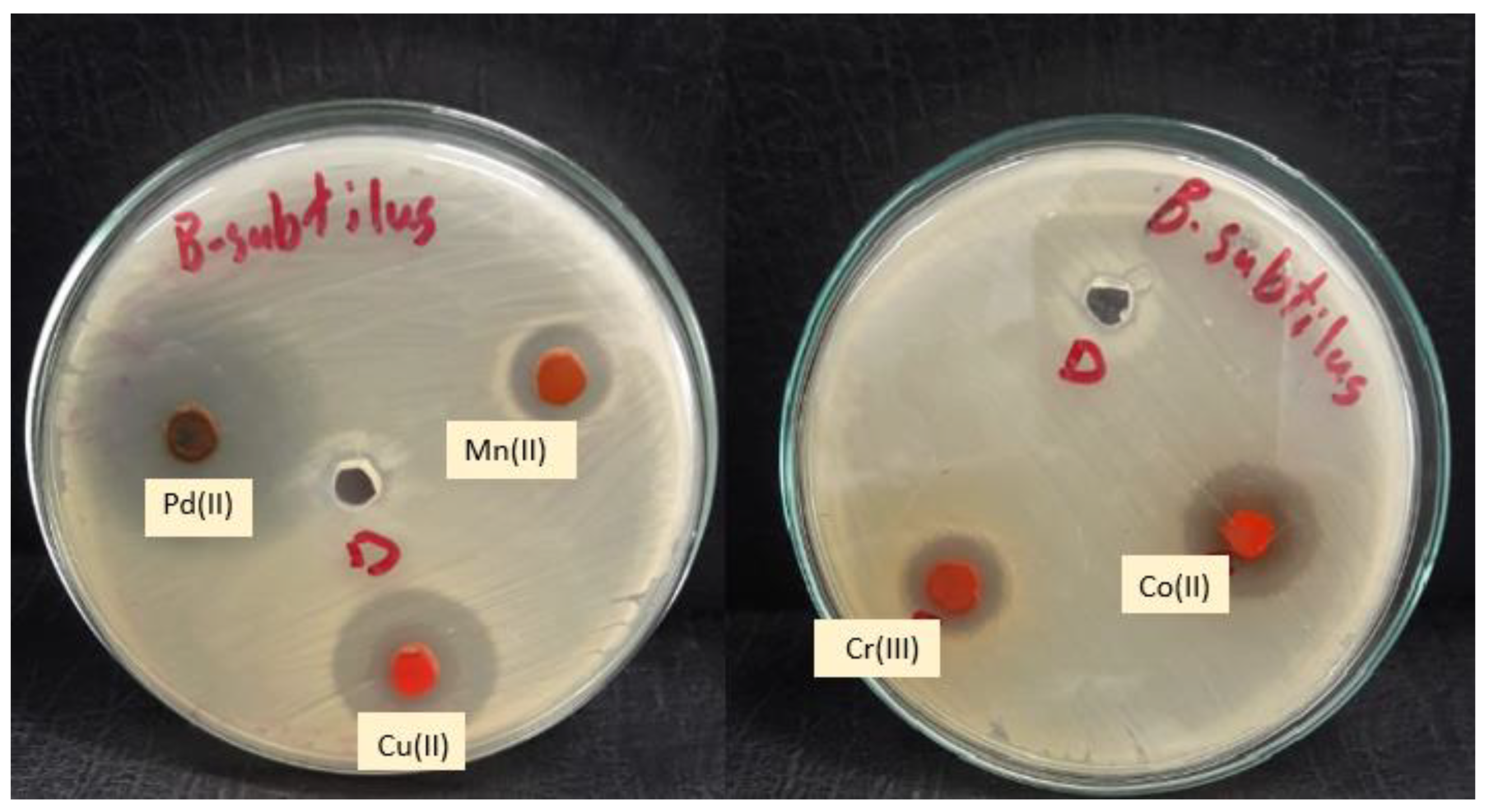 Molecules 28 02555 g015 Molecules 28 02555 g015
