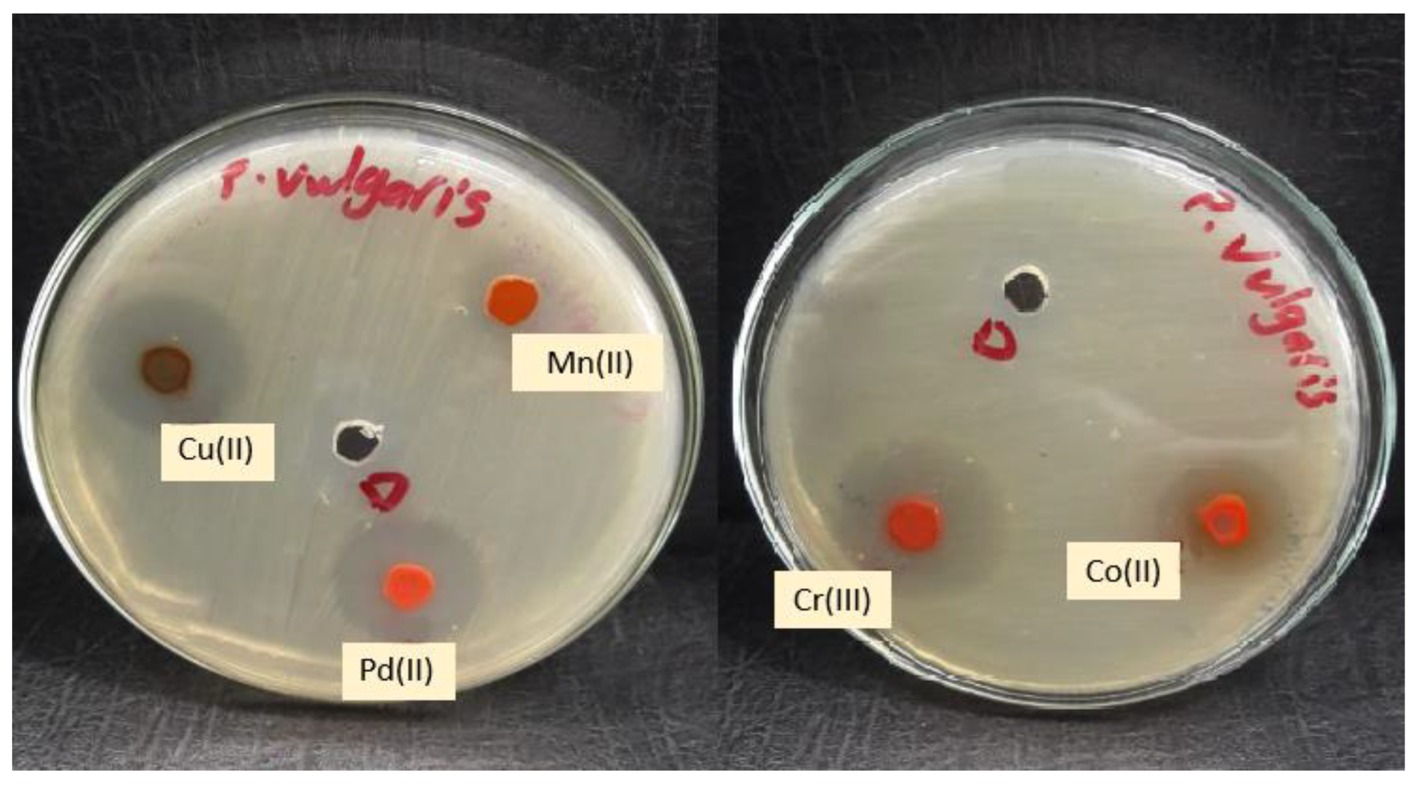 Molecules 28 02555 g016 Molecules 28 02555 g016