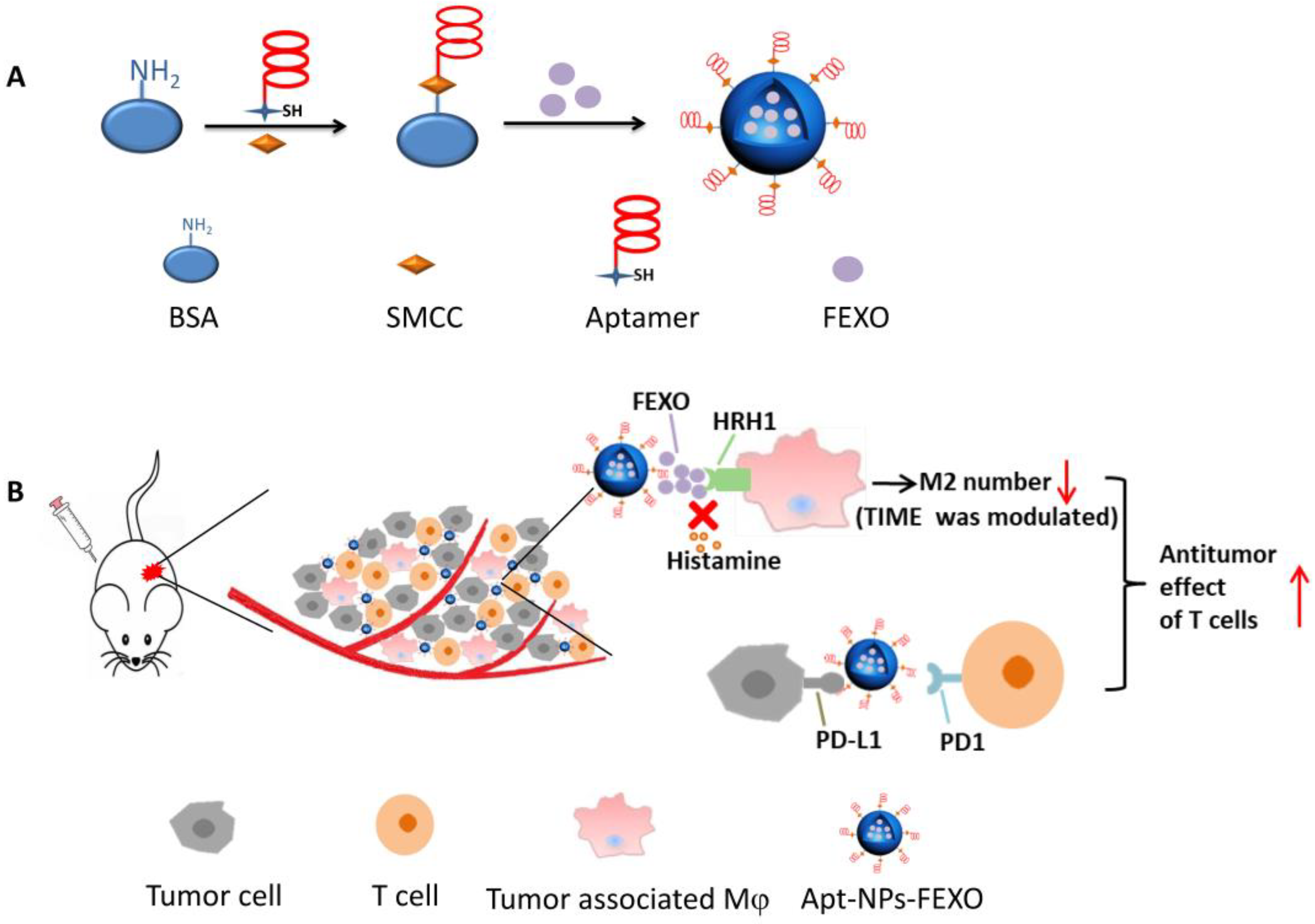 Molecules 28 02556 g001