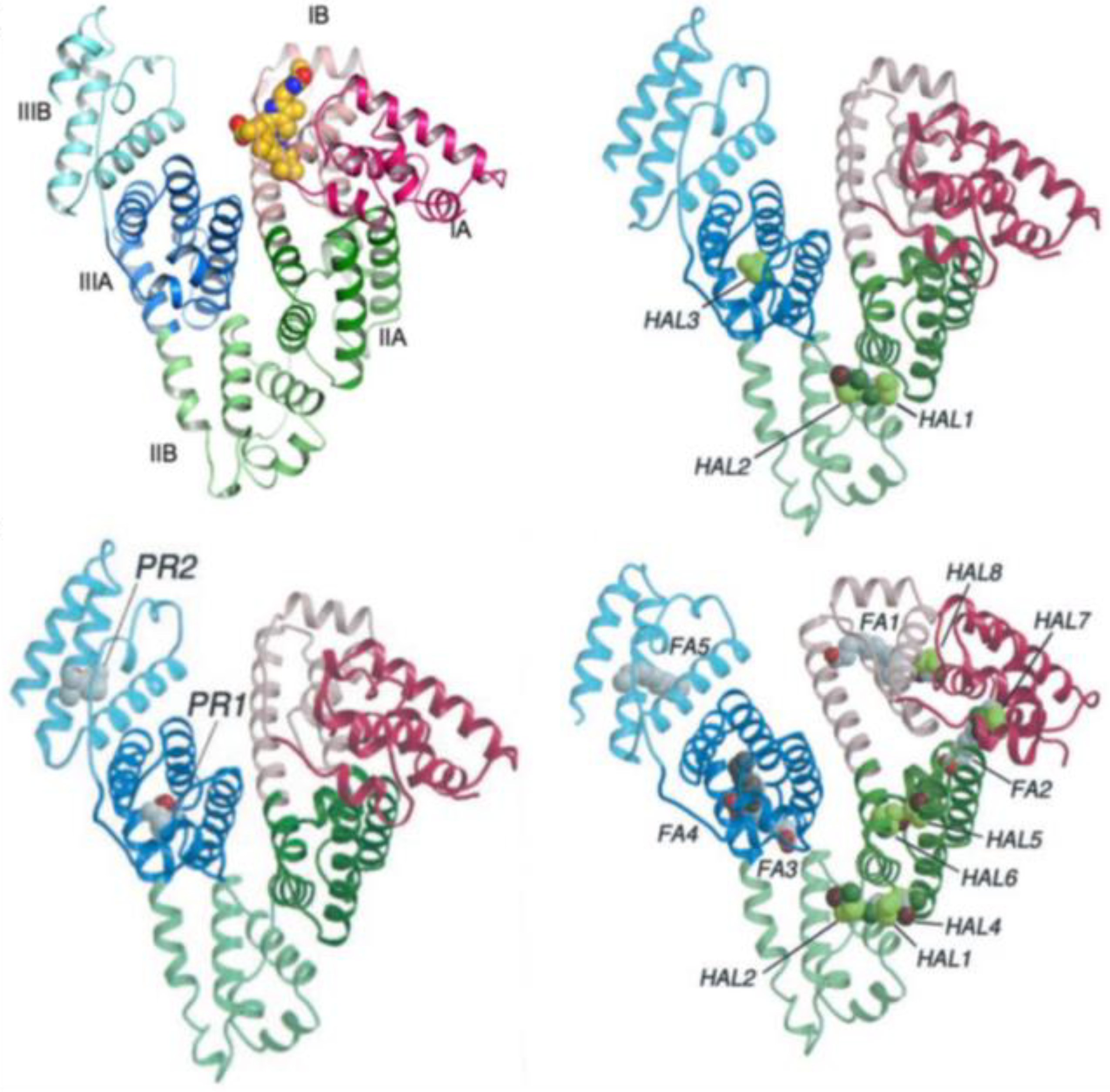 Molecules 28 02564 g008