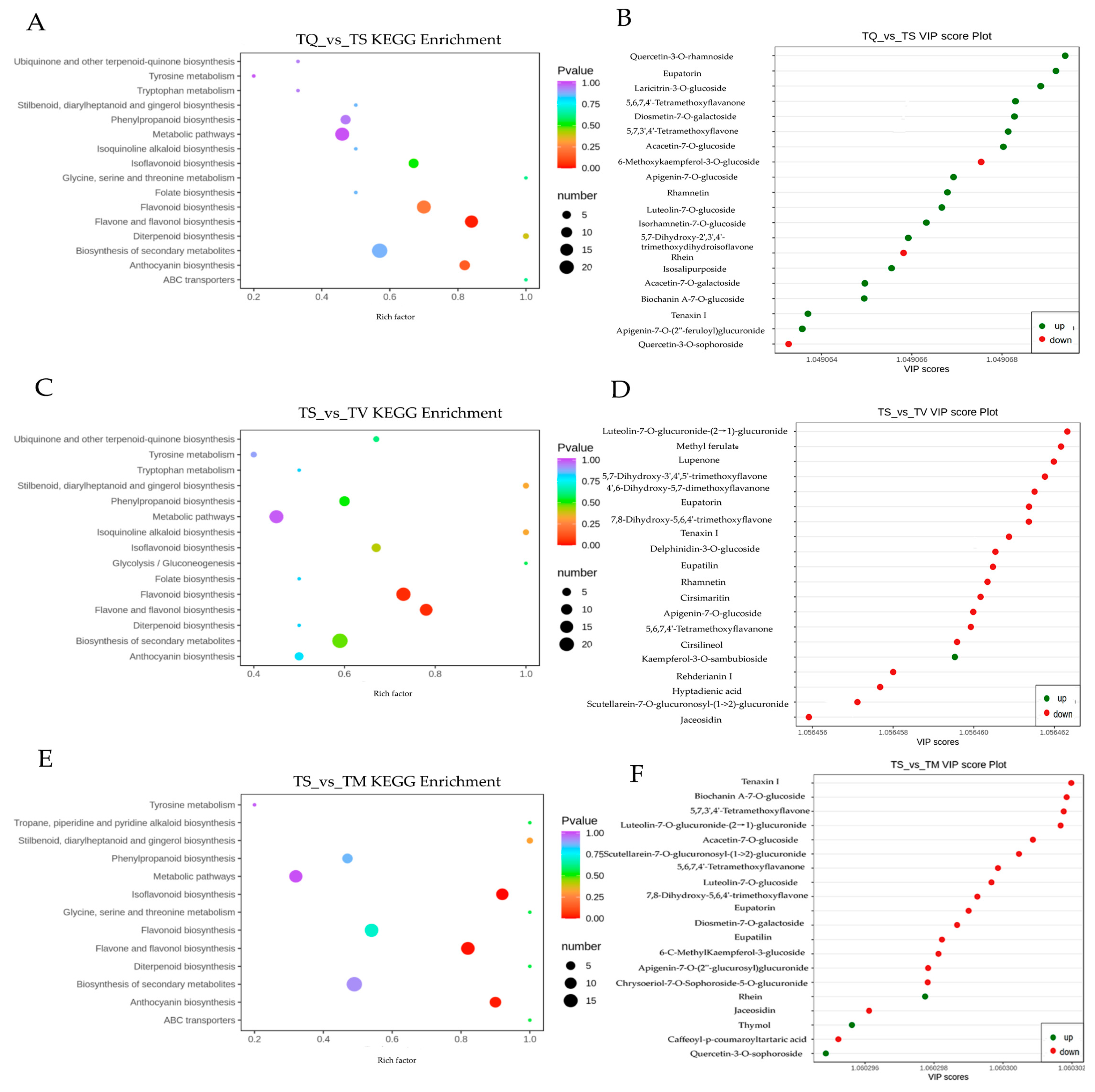 Molecules 28 02582 g005