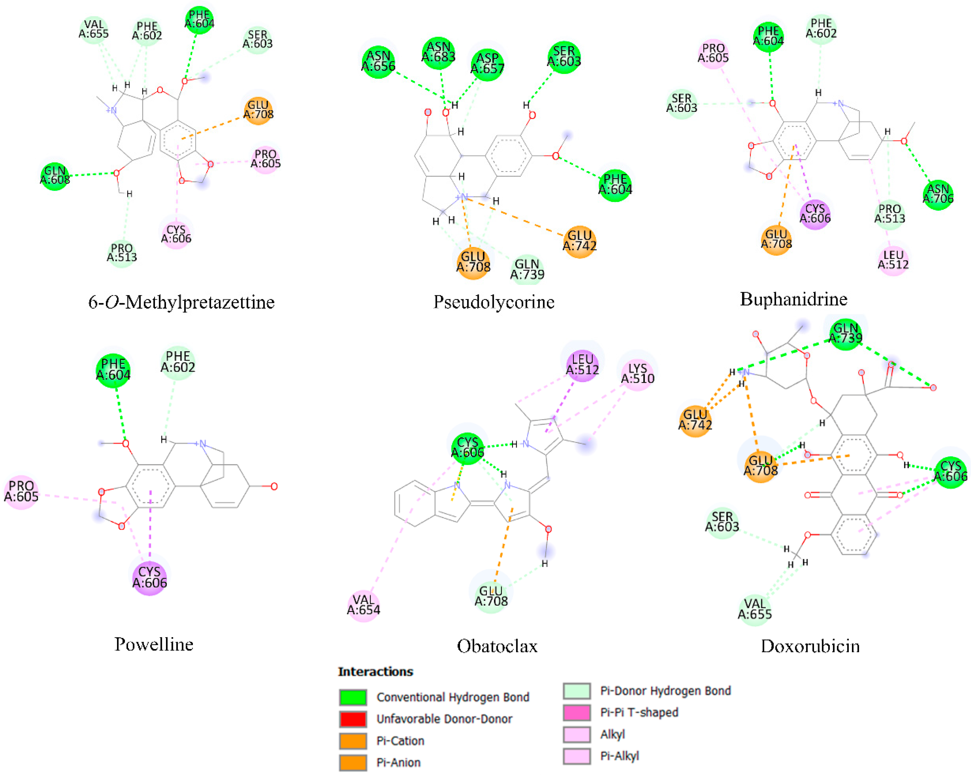 Molecules 28 02601 g006 Molecules 28 02601 g006