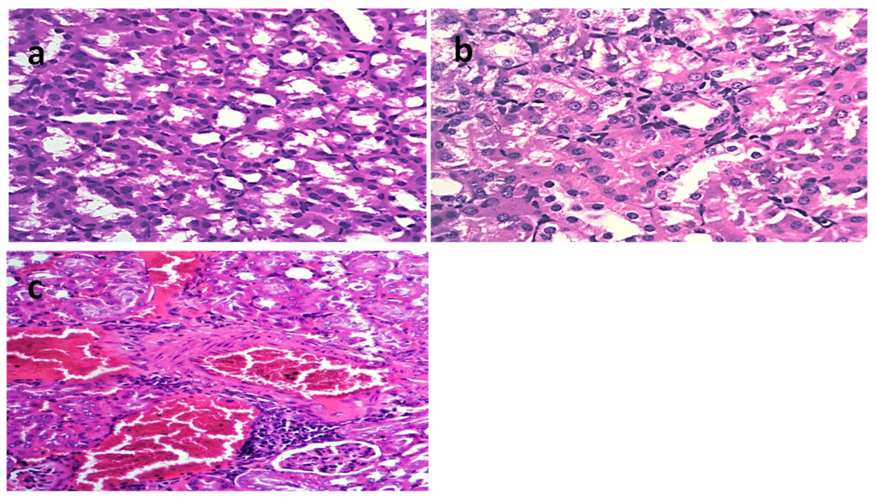 Molecules 28 02609 g006 Molecules 28 02609 g006