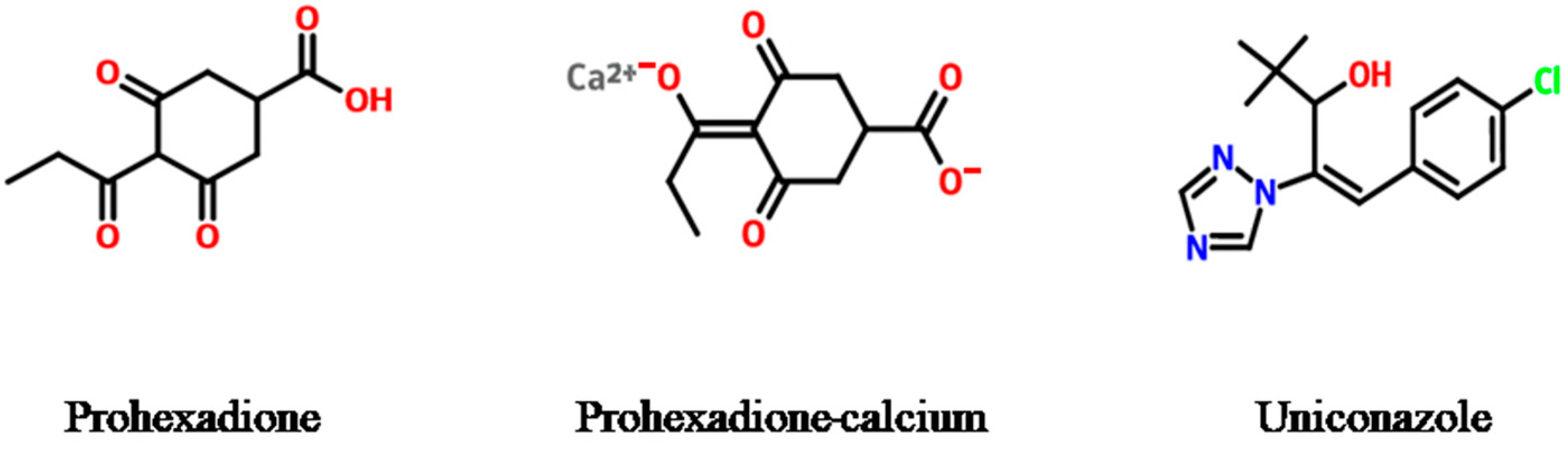 Molecules 28 02611 g001 Molecules 28 02611 g001