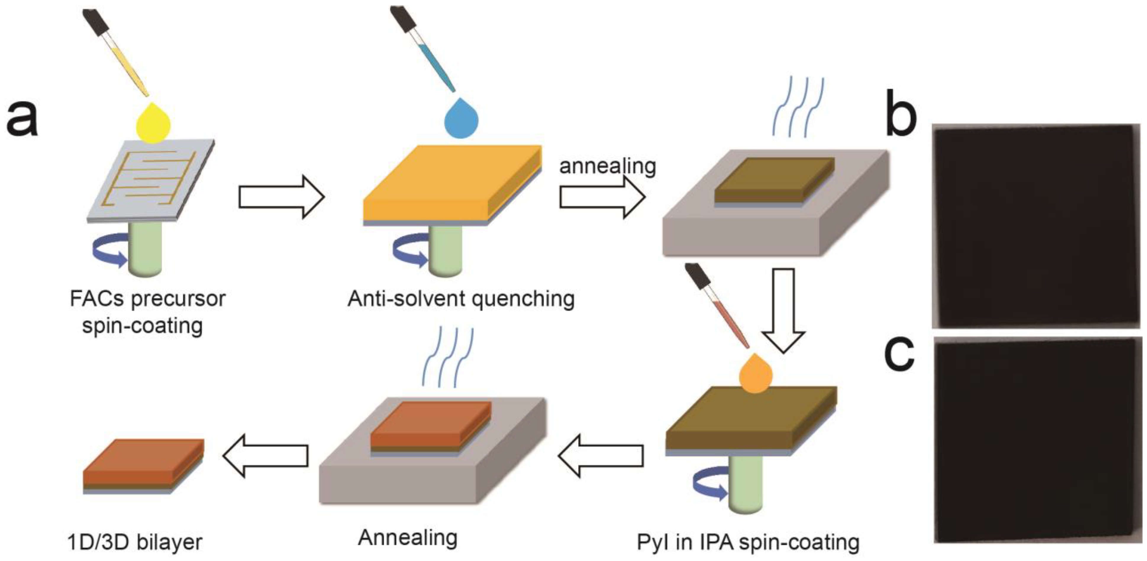 Molecules 28 02615 g001 Molecules 28 02615 g001