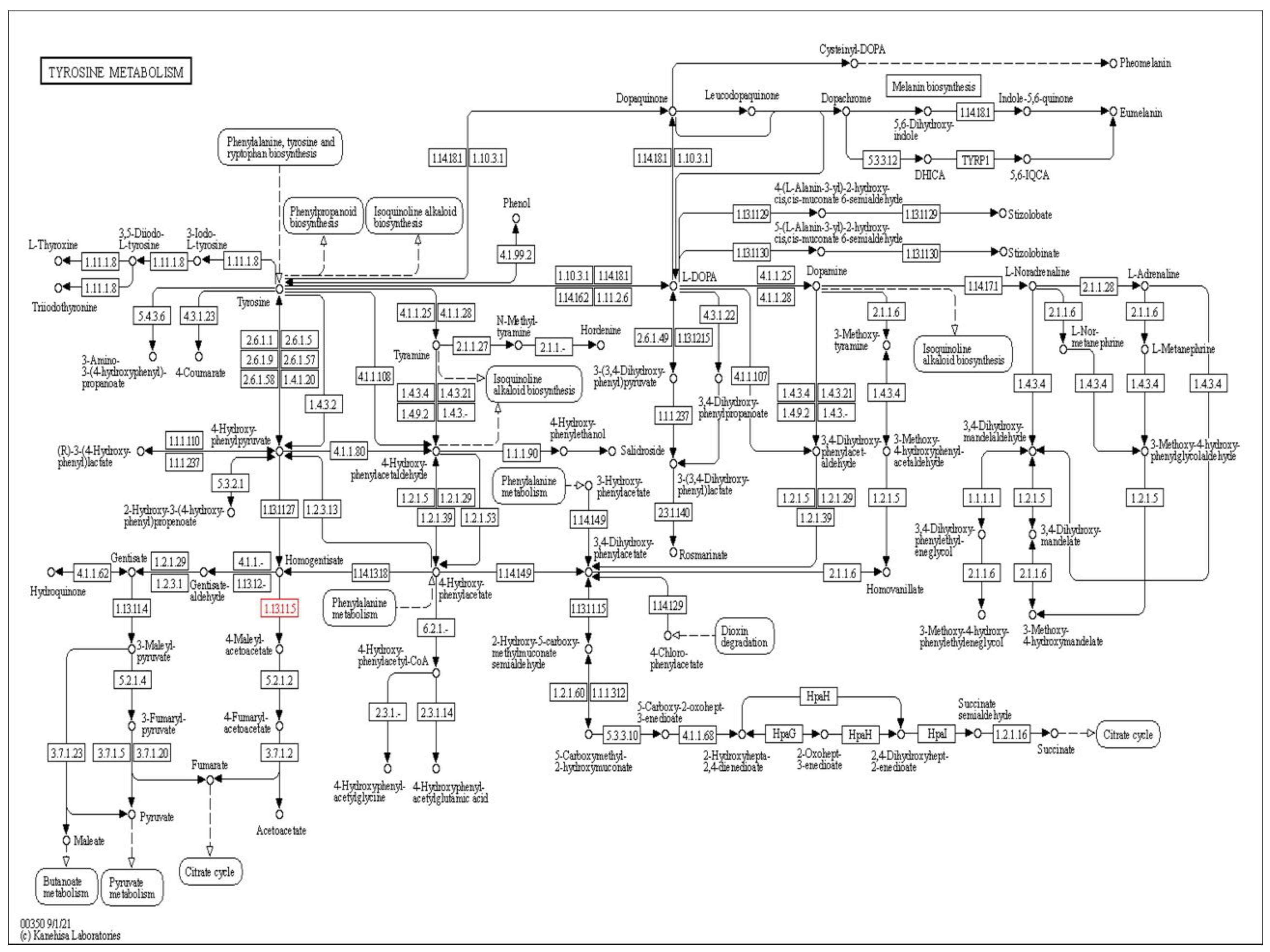 Molecules 28 02623 g002 Molecules 28 02623 g002
