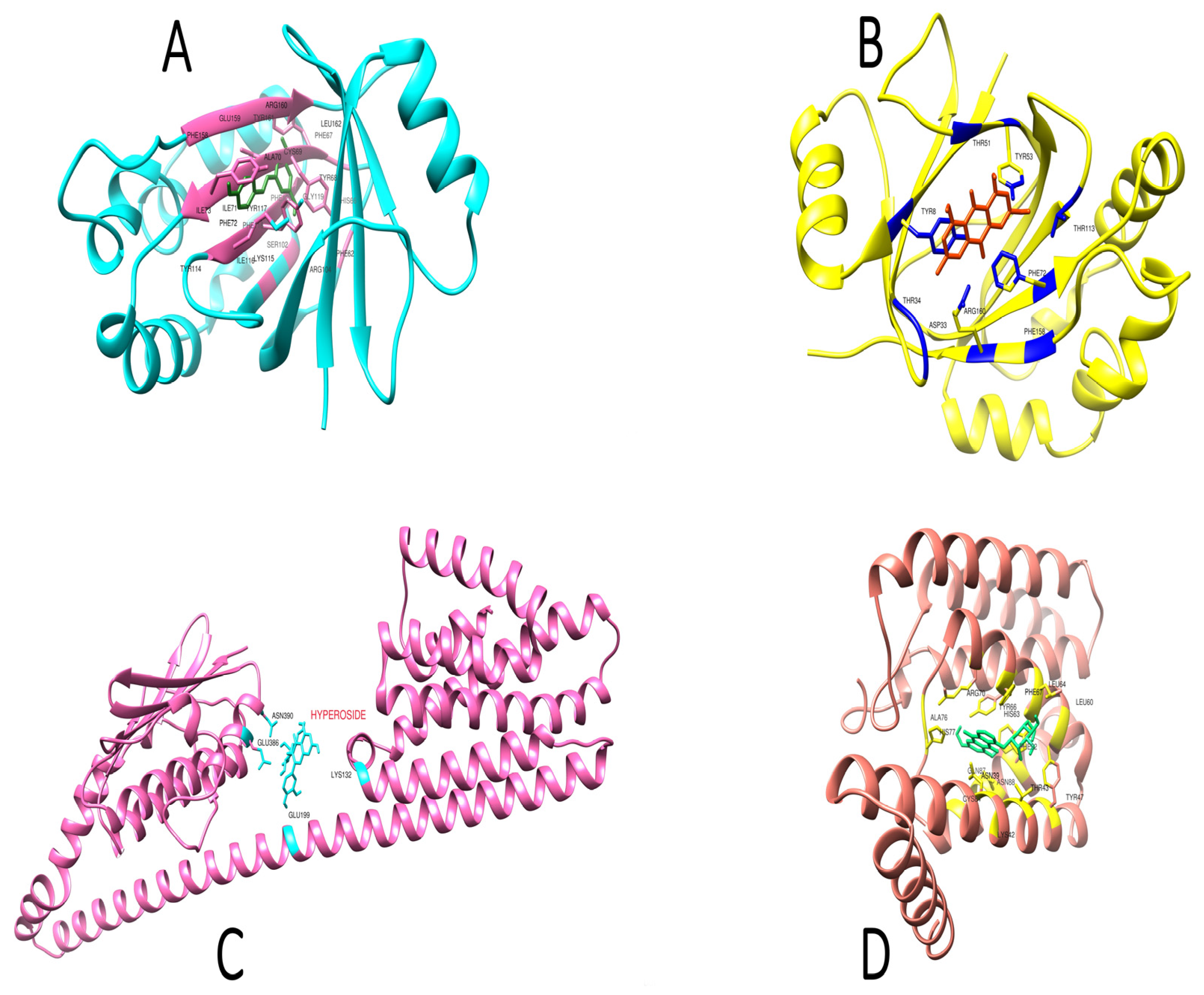 Molecules 28 02635 g006 Molecules 28 02635 g006
