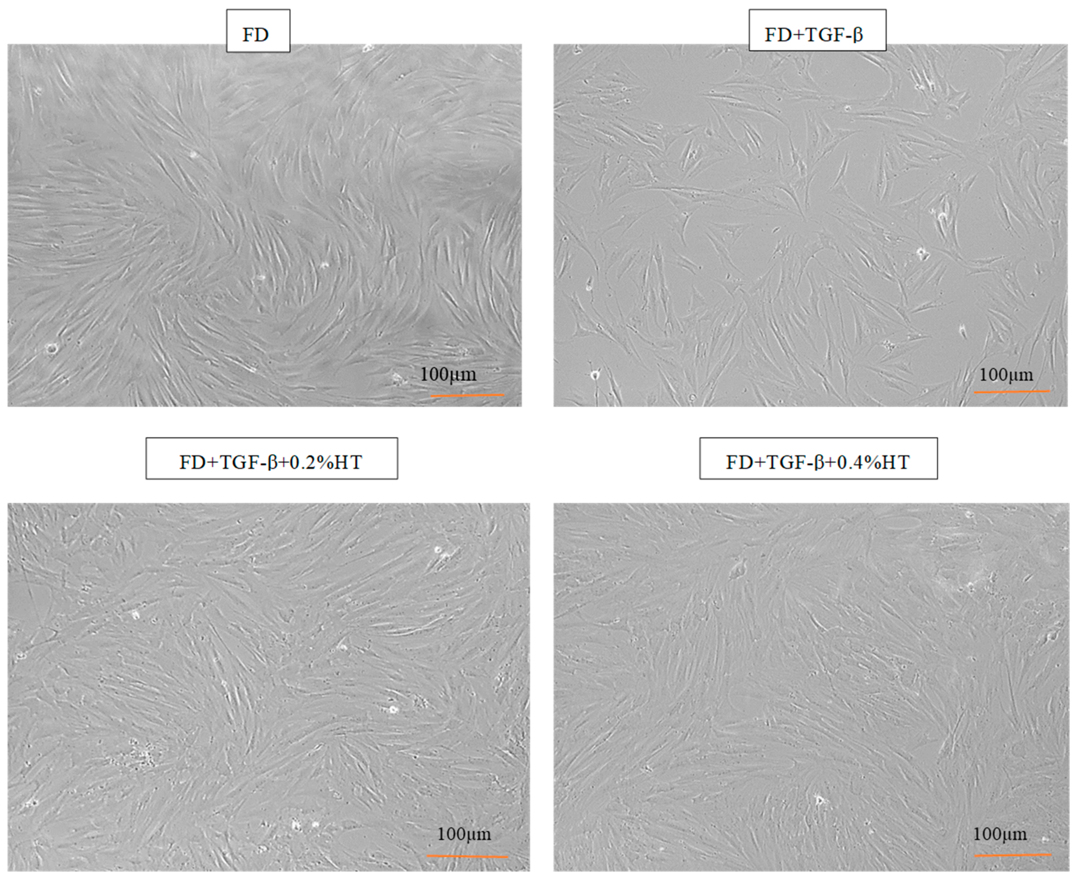 Molecules 28 02652 g002 Molecules 28 02652 g002
