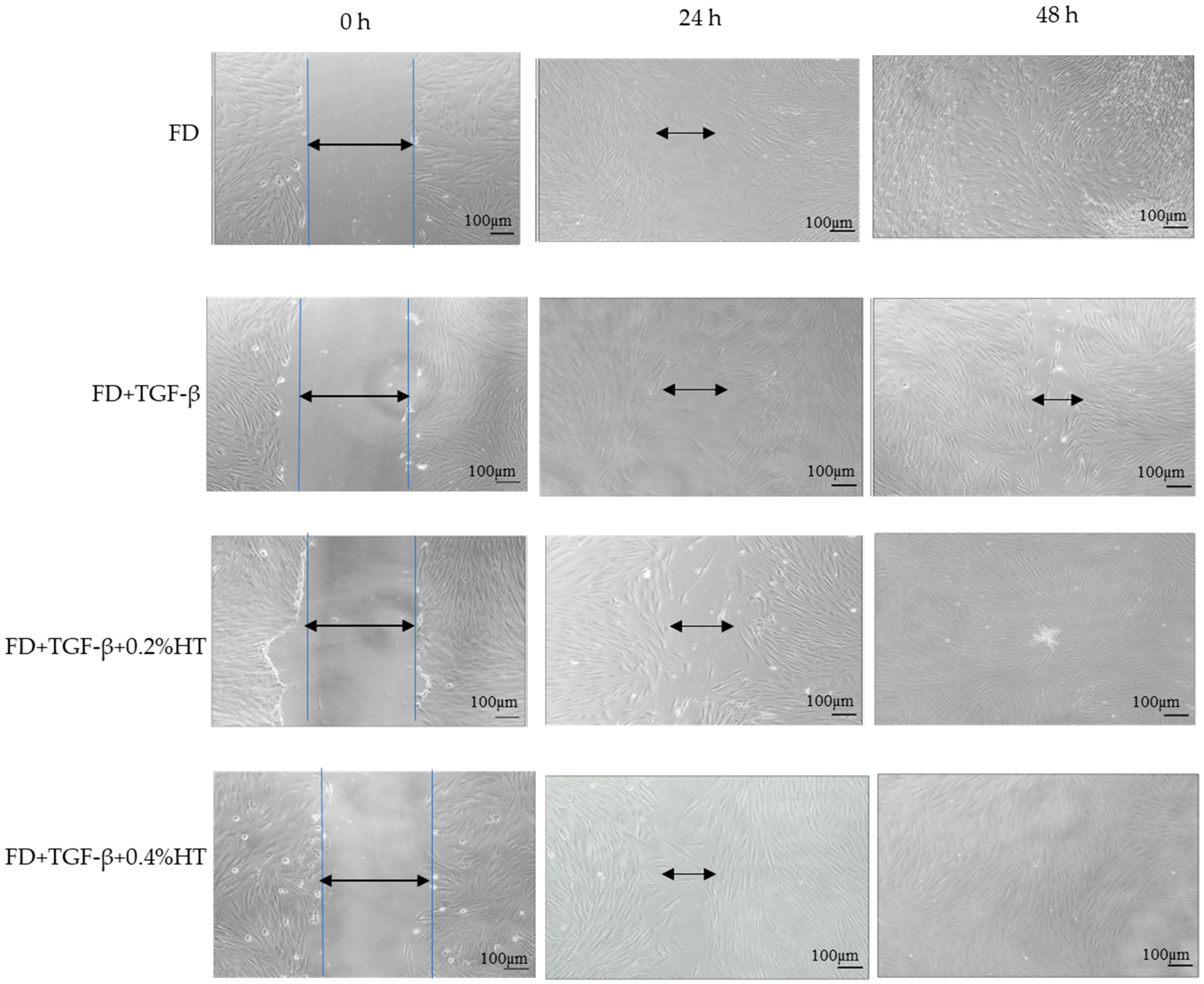Molecules 28 02652 g003 Molecules 28 02652 g003