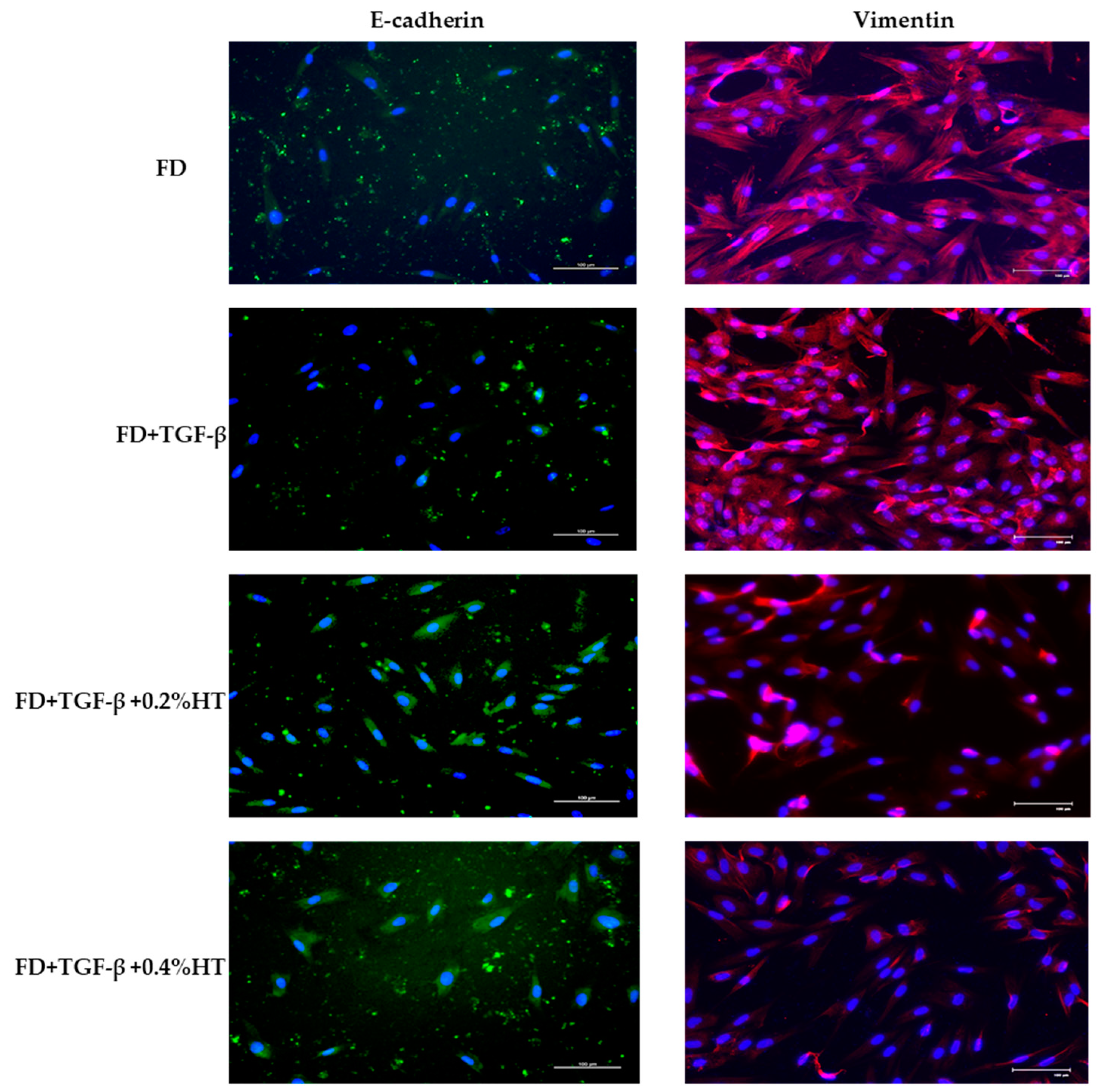 Molecules 28 02652 g007 Molecules 28 02652 g007