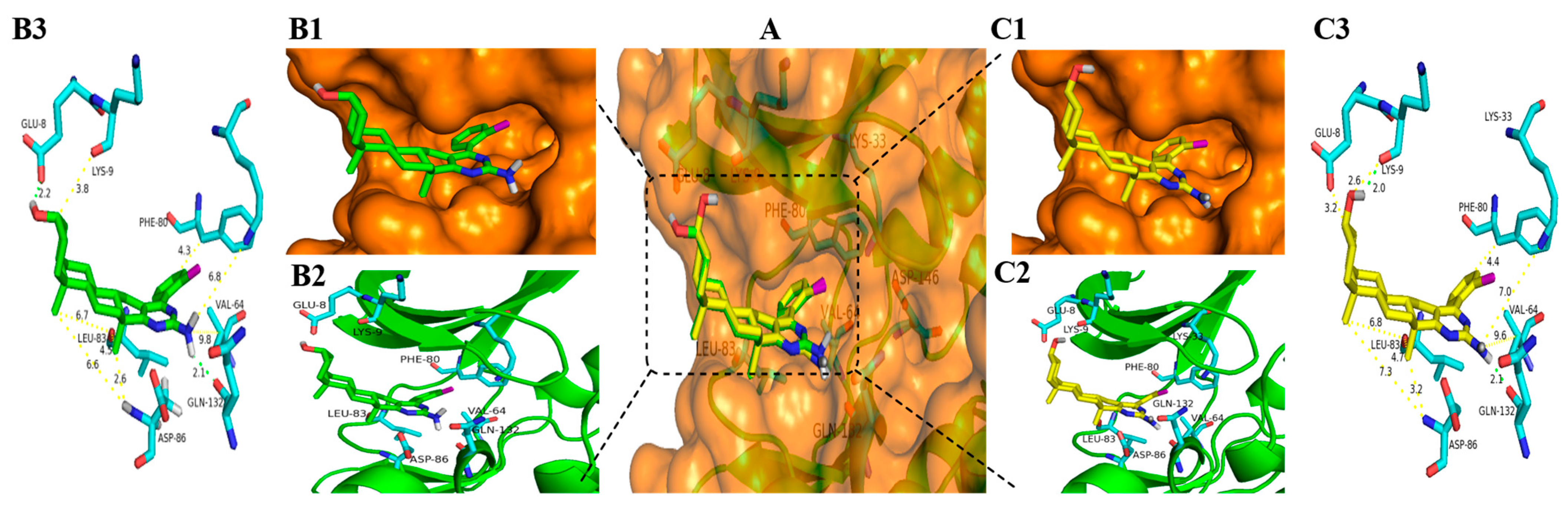 Molecules 28 02691 g007 Molecules 28 02691 g007