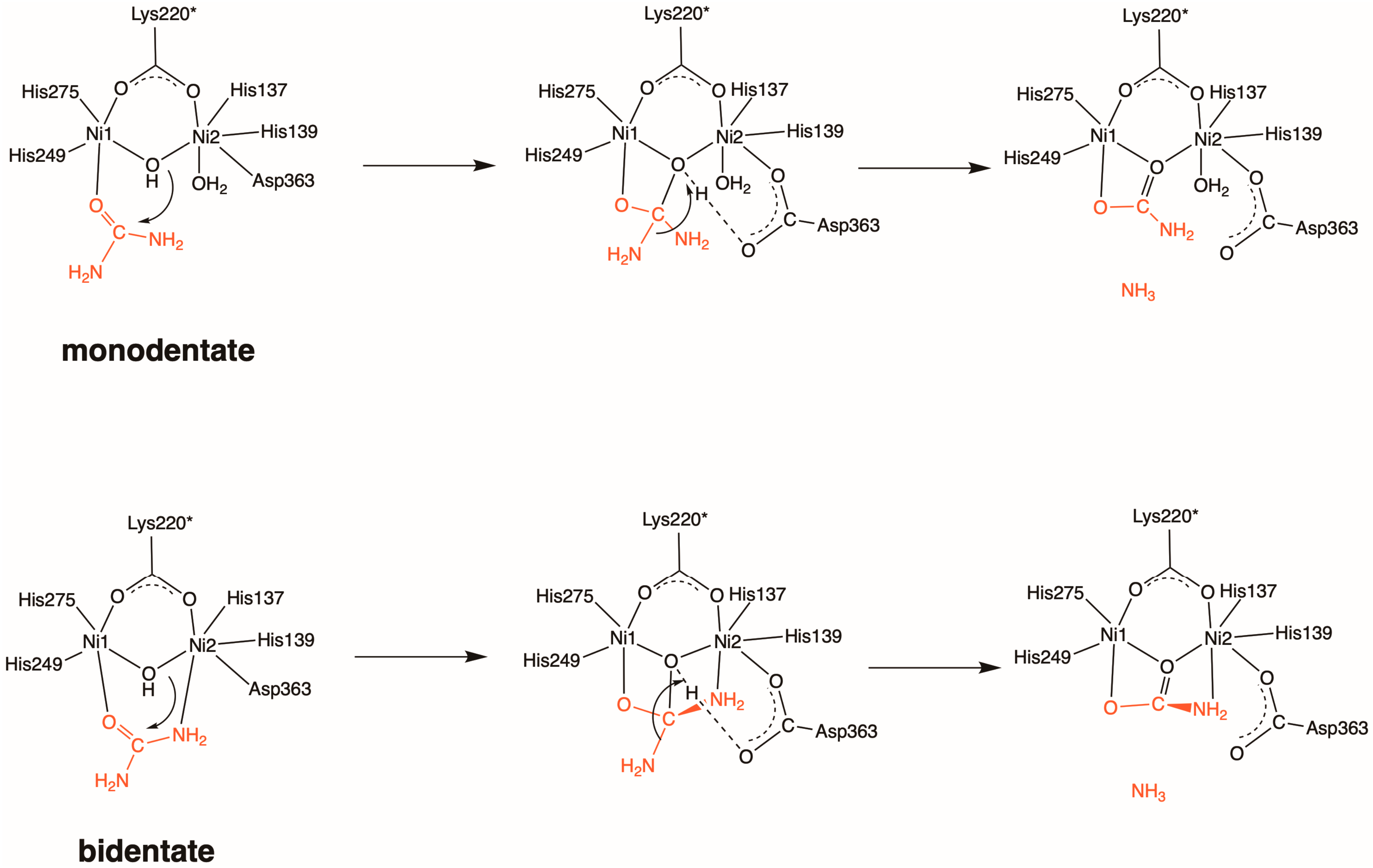 Molecules 28 02697 sch001 Molecules 28 02697 sch001