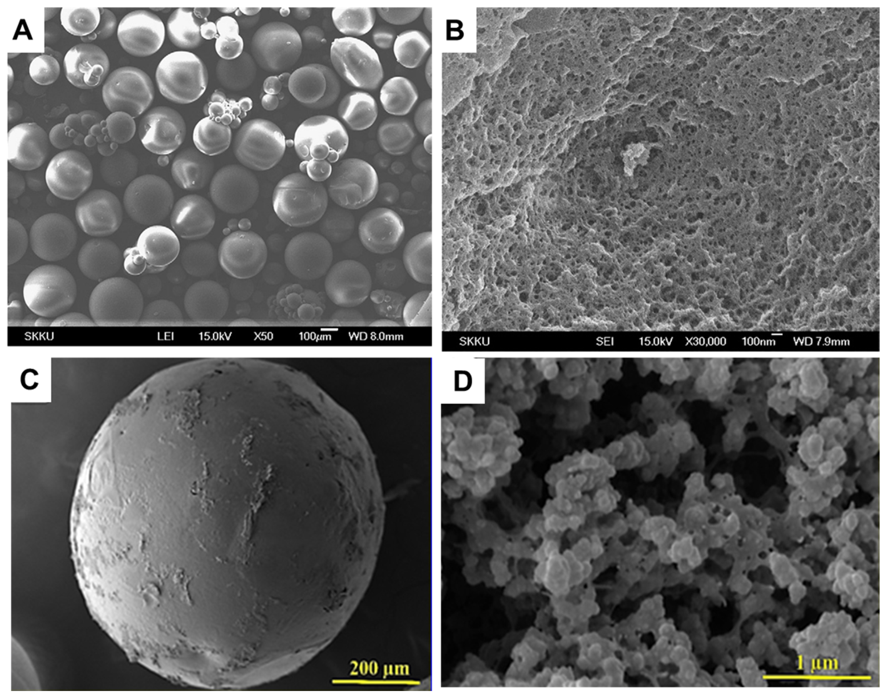 Molecules 28 02798 g005 Molecules 28 02798 g005