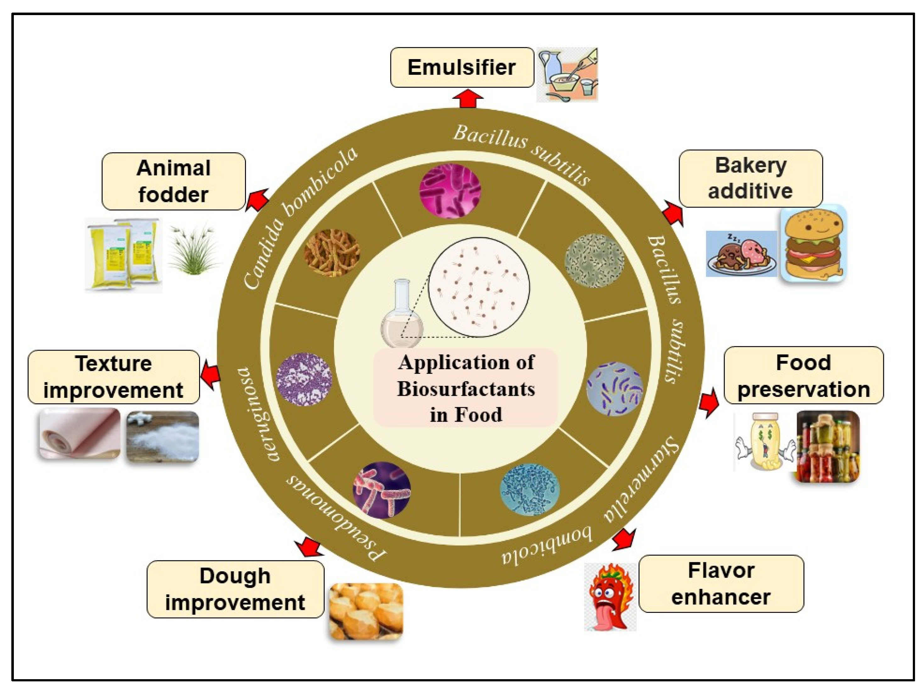 Emulsifiers, Surfactants, Baking Ingredients