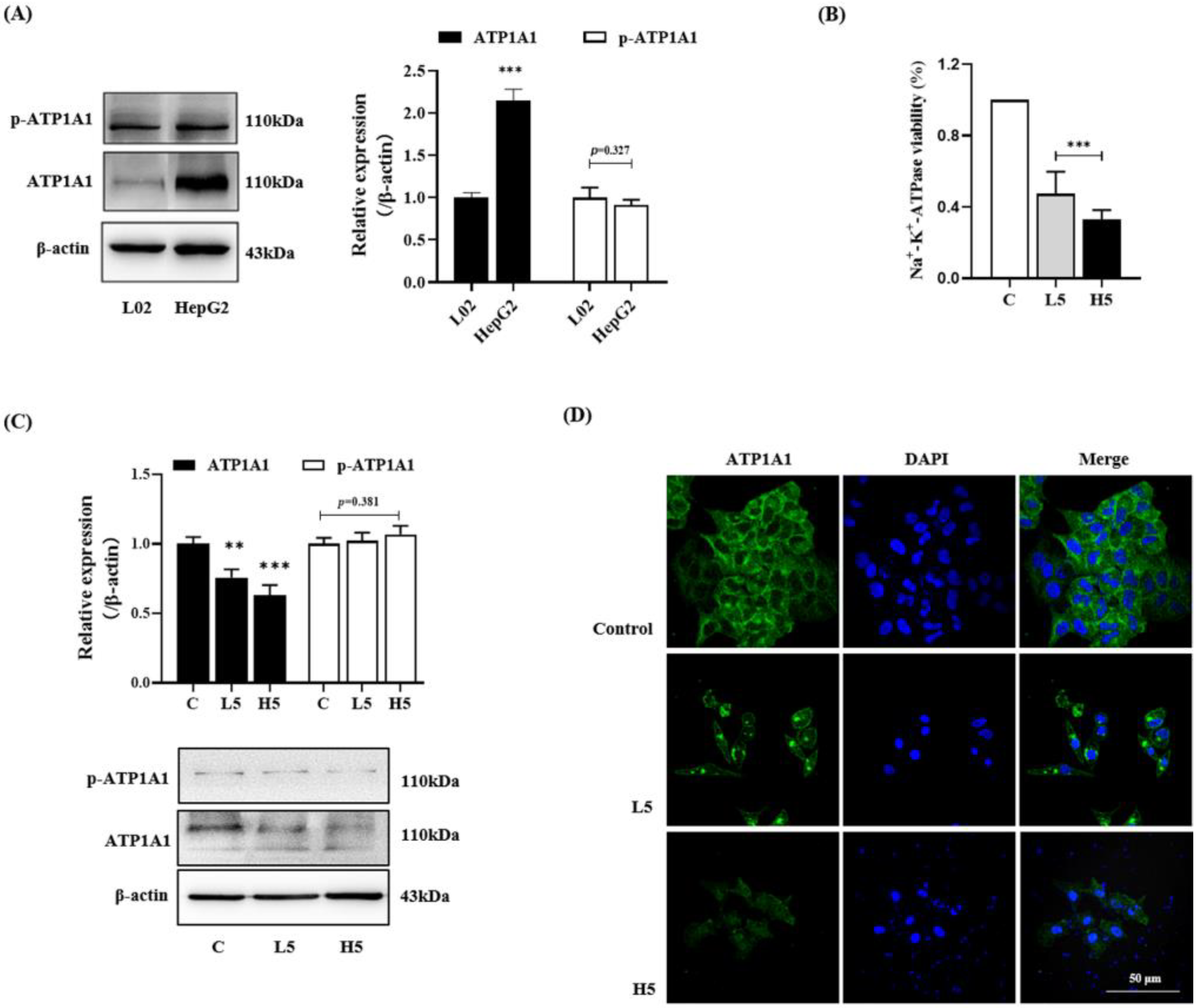 Molecules 28 02830 g003