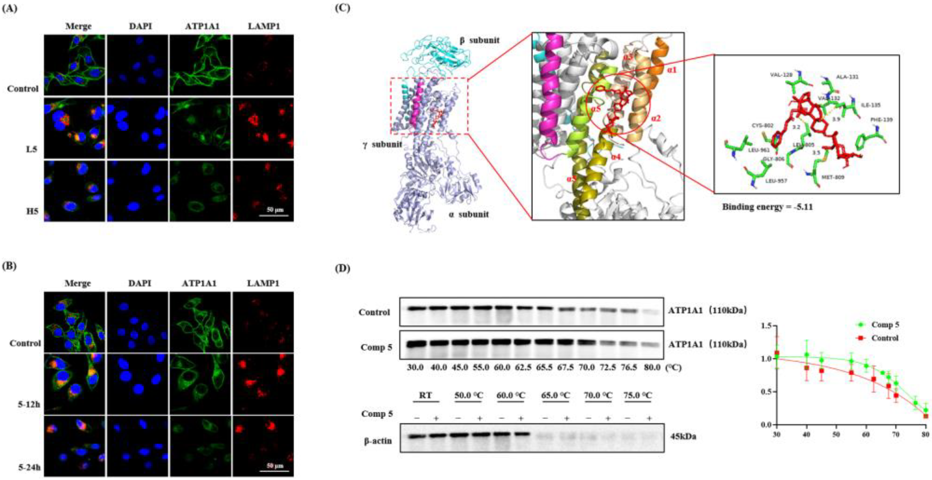 Molecules 28 02830 g004