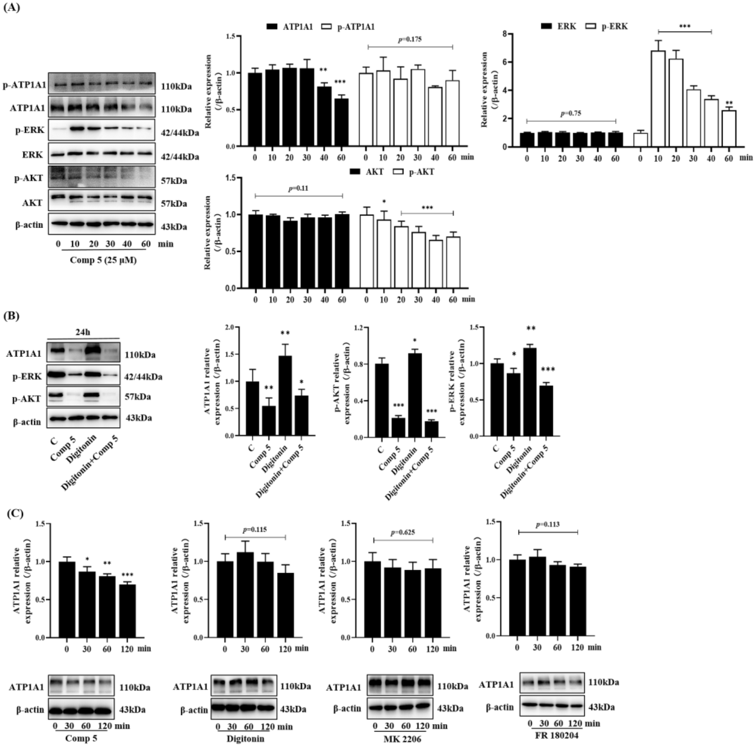 Molecules 28 02830 g005