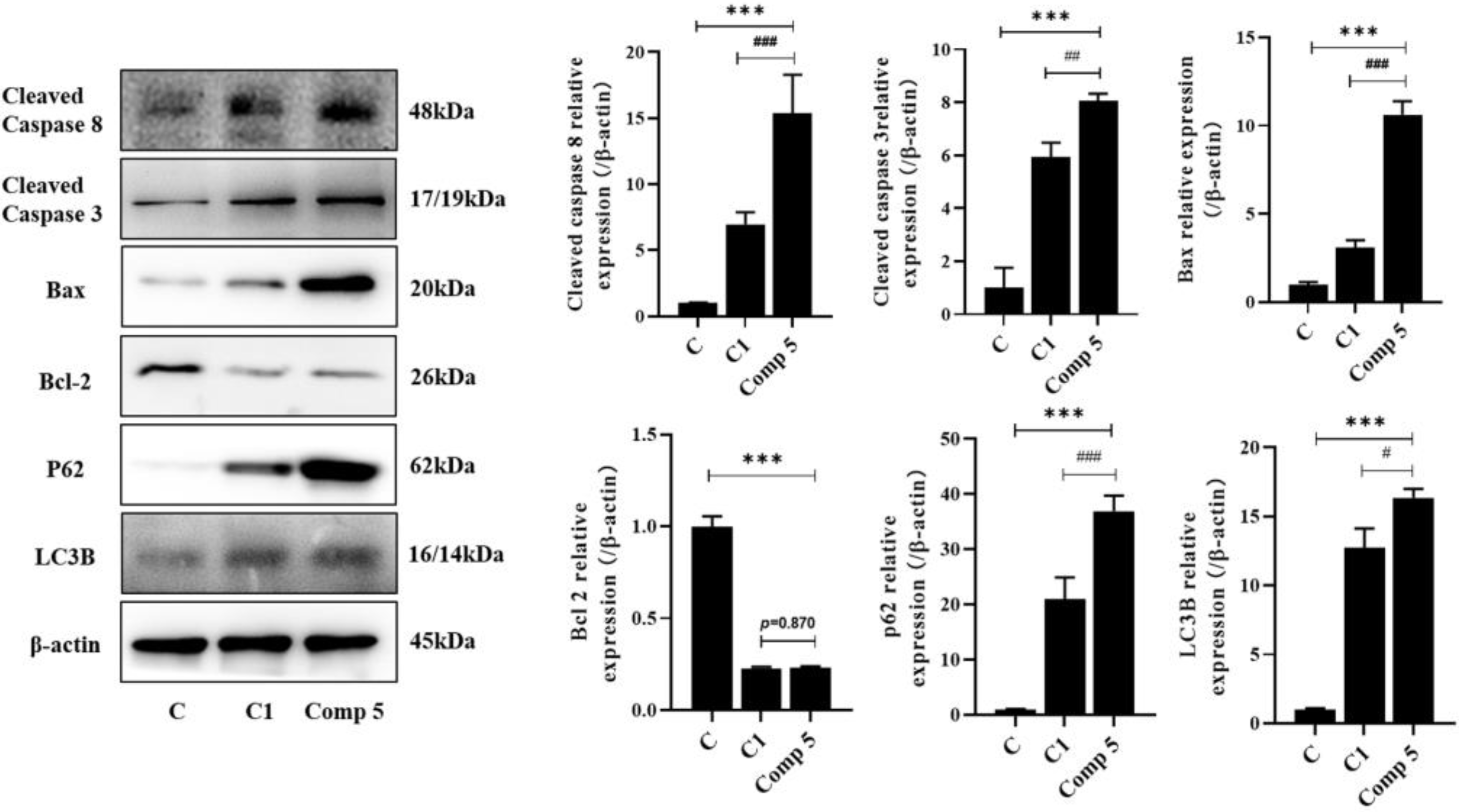 Molecules 28 02830 g006