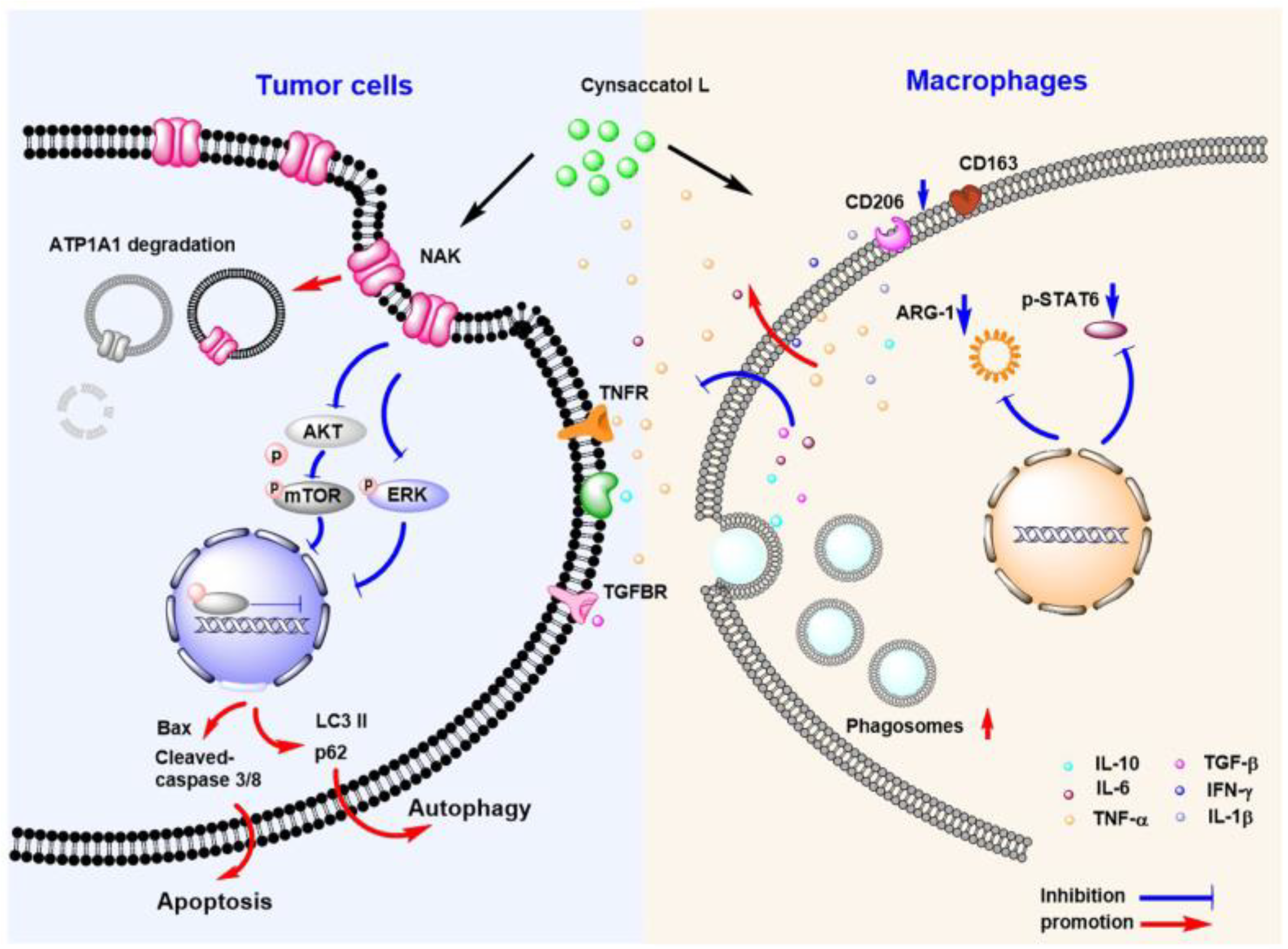 Molecules 28 02830 g008