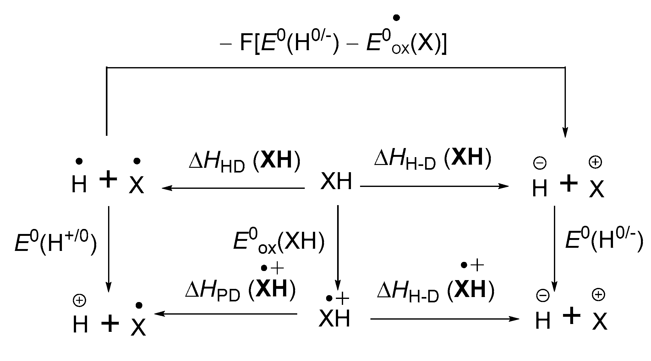 Molecules 28 02862 g001