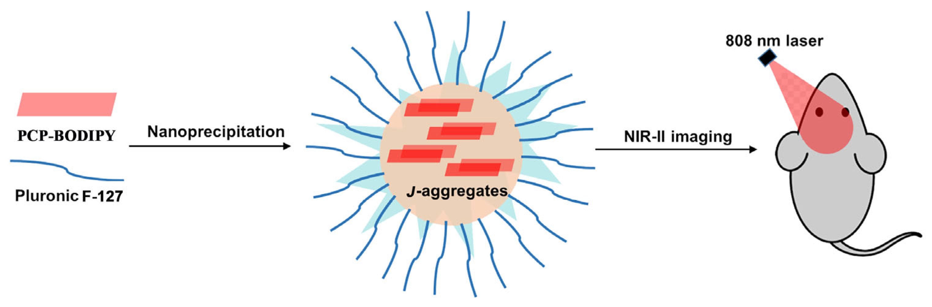 Molecules 28 02891 g002 Molecules 28 02891 g002