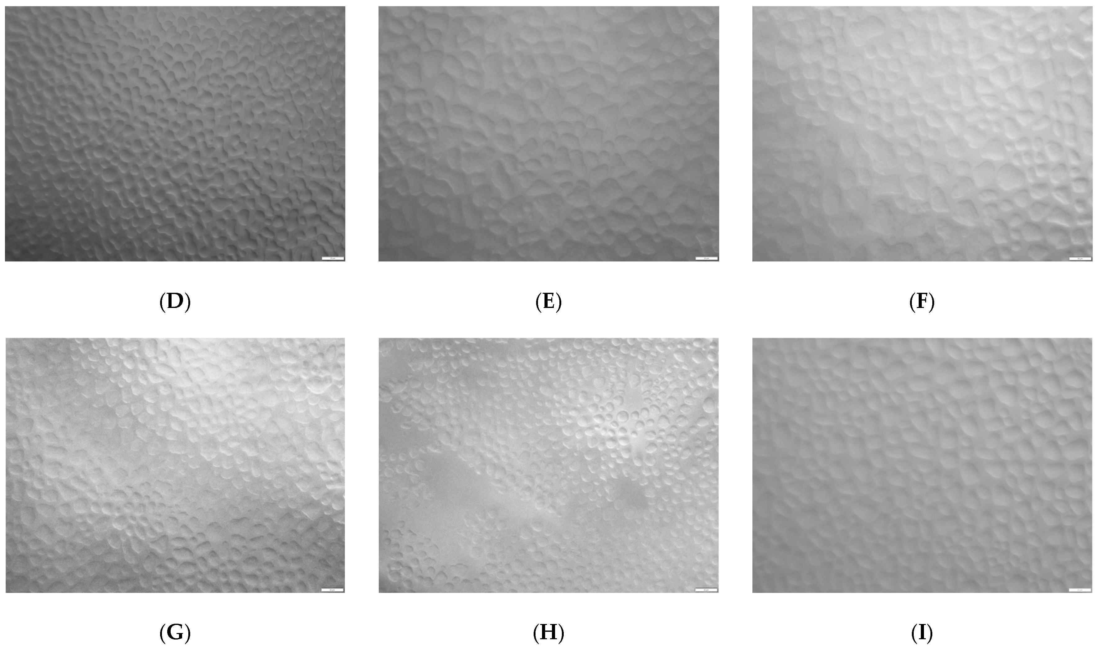 Molecules 28 02924 g006b