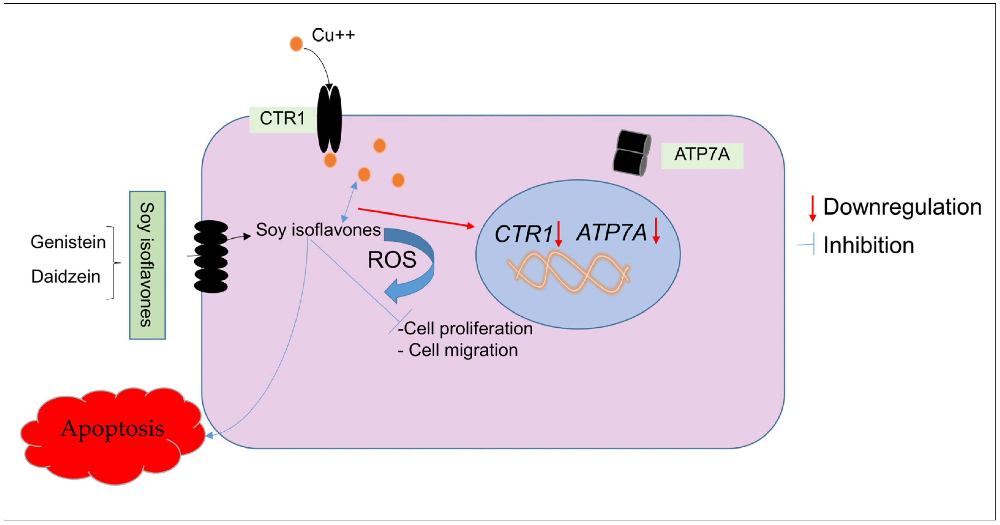 Molecules 28 02925 g010 Molecules 28 02925 g010