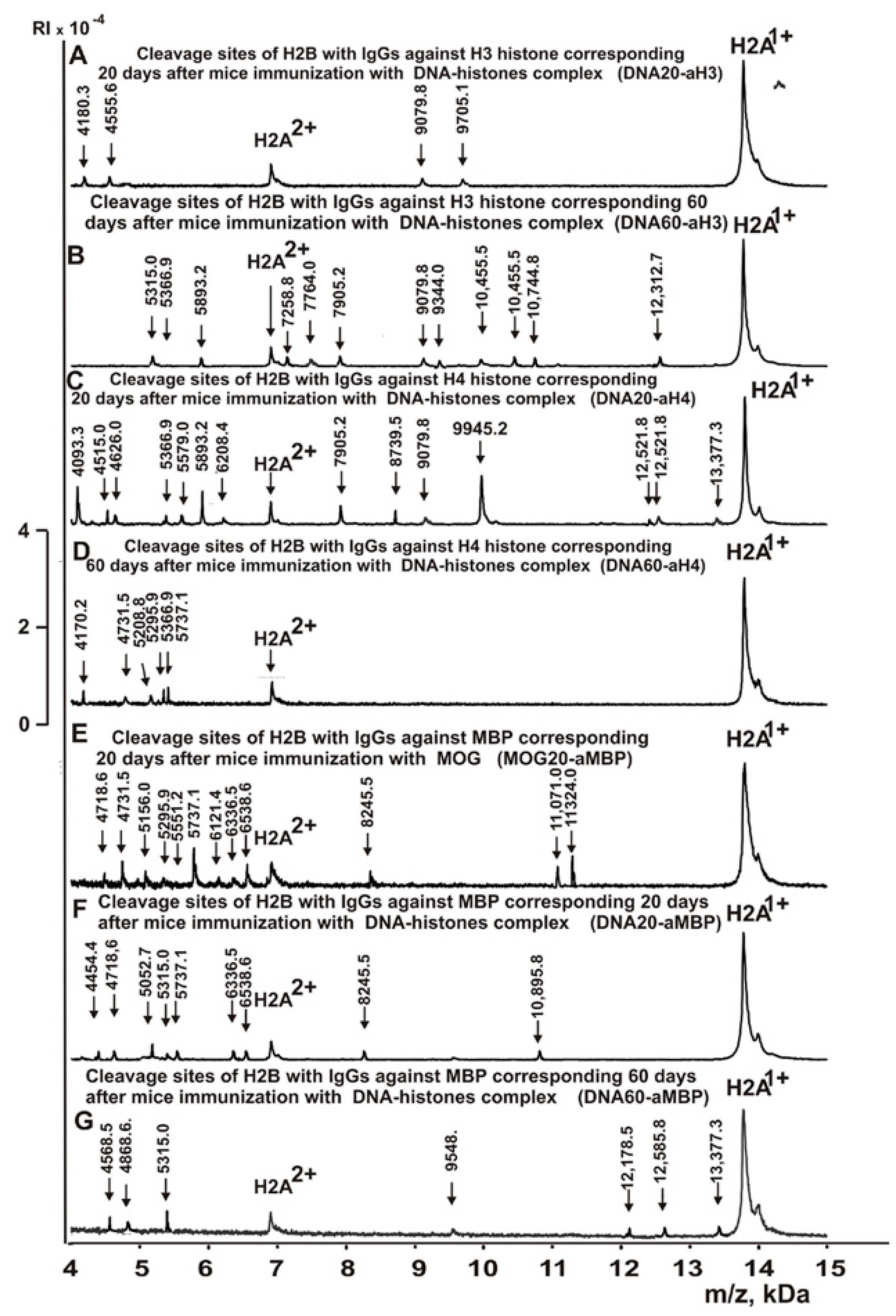 Molecules | Free Full-Text | EAE of Mice: Enzymatic Cross Site