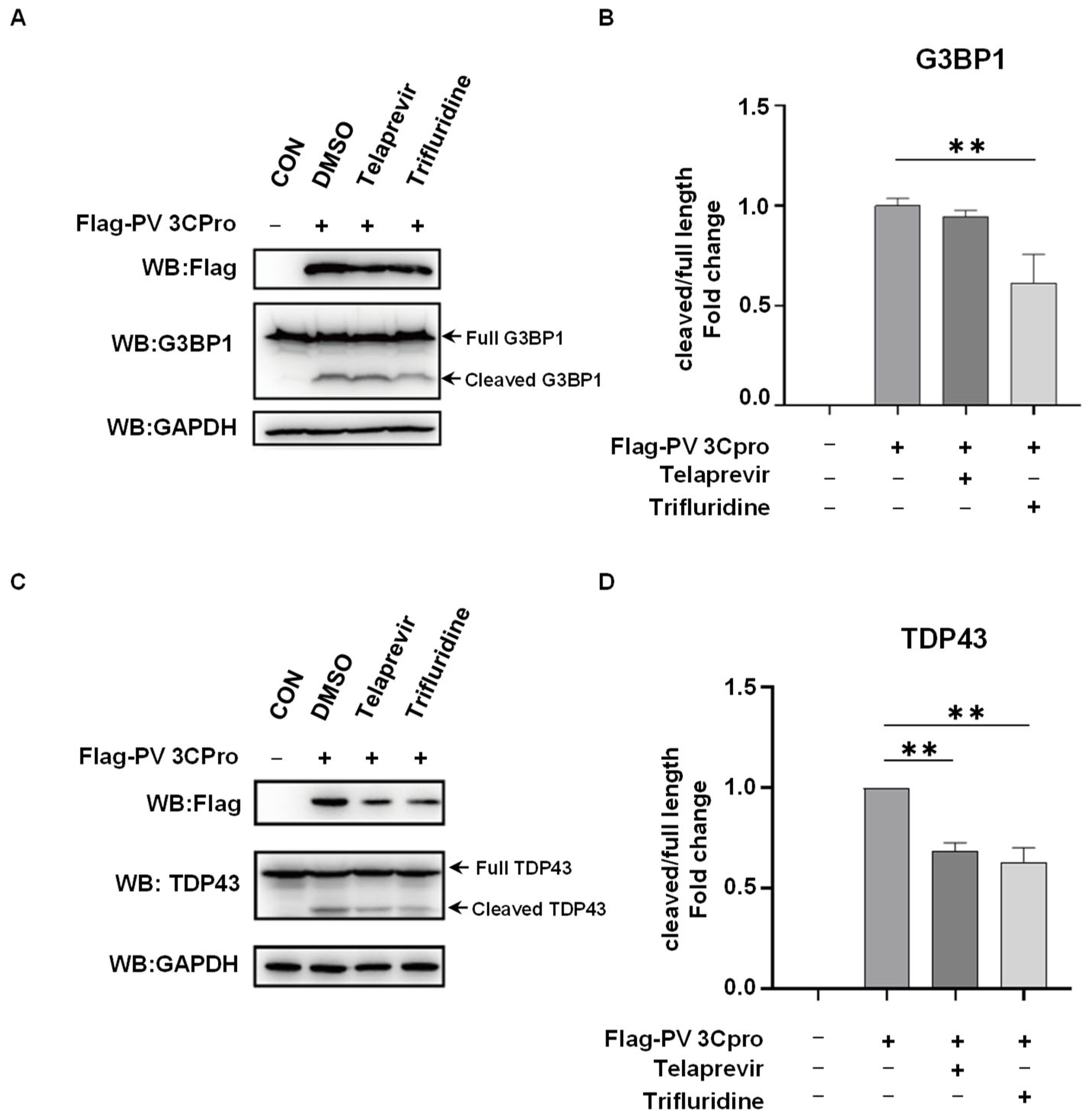 Molecules 28 03020 g005 Molecules 28 03020 g005