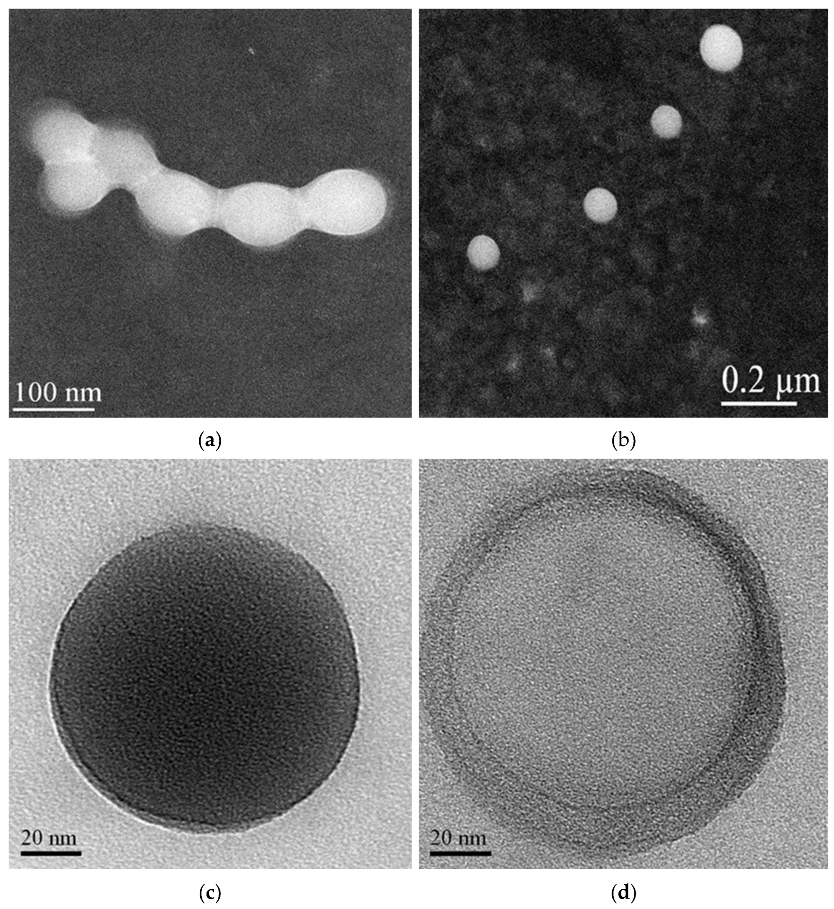 Molecules 28 03023 g010 Molecules 28 03023 g010