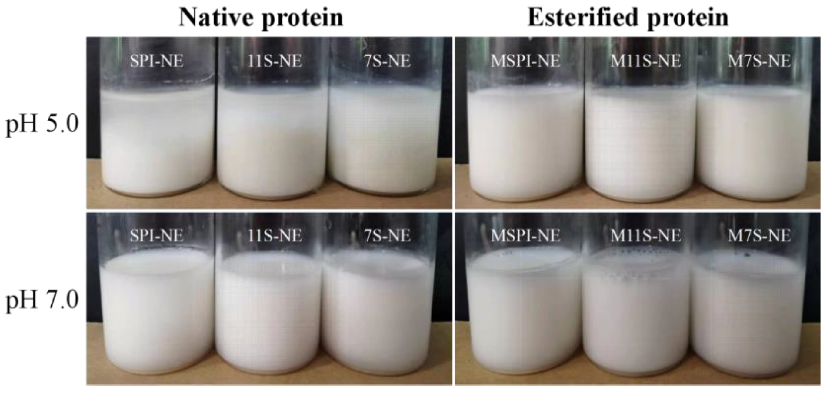 Molecules 28 03078 g006